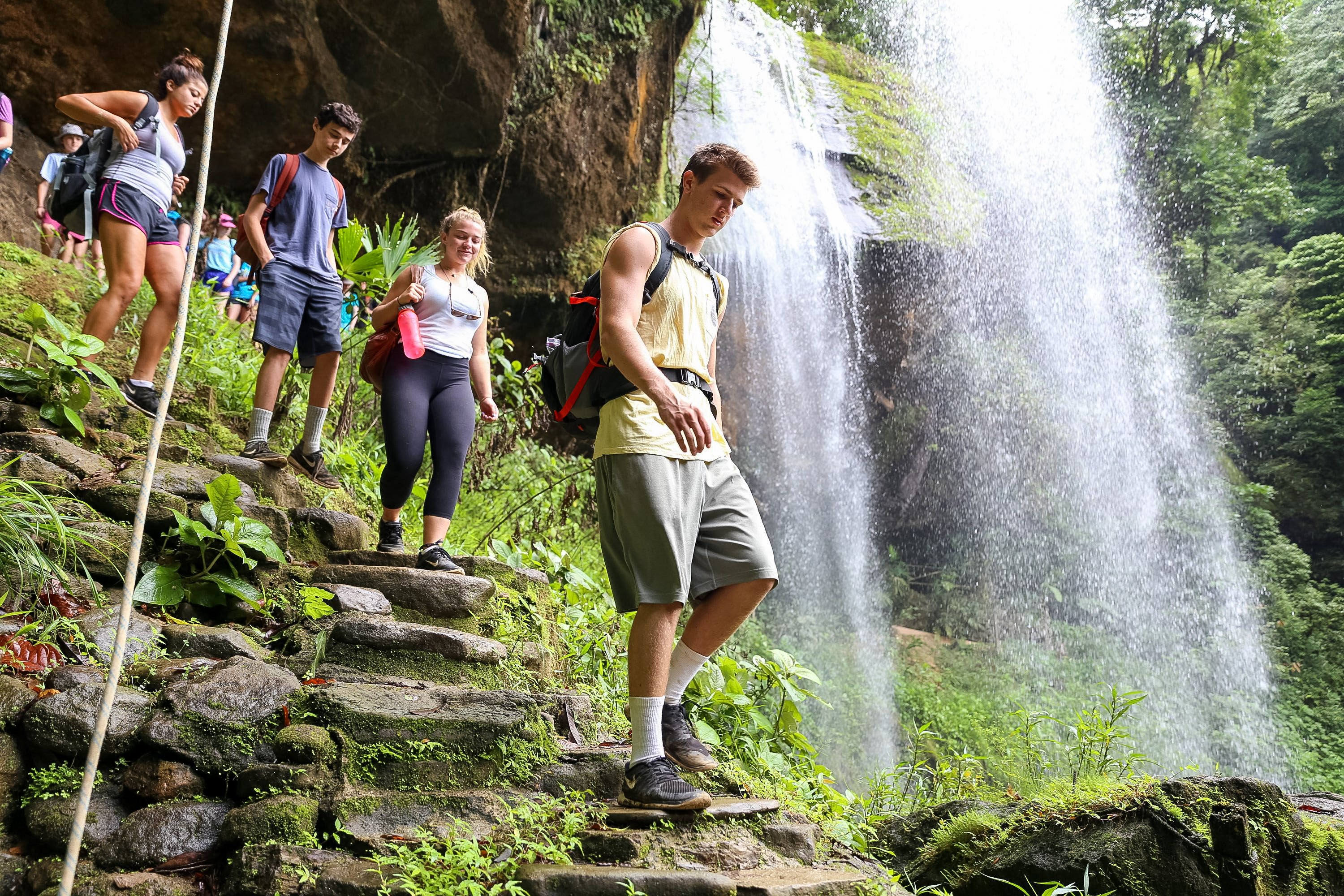 Students descend stone steps down a rainforest trail beside a waterfall