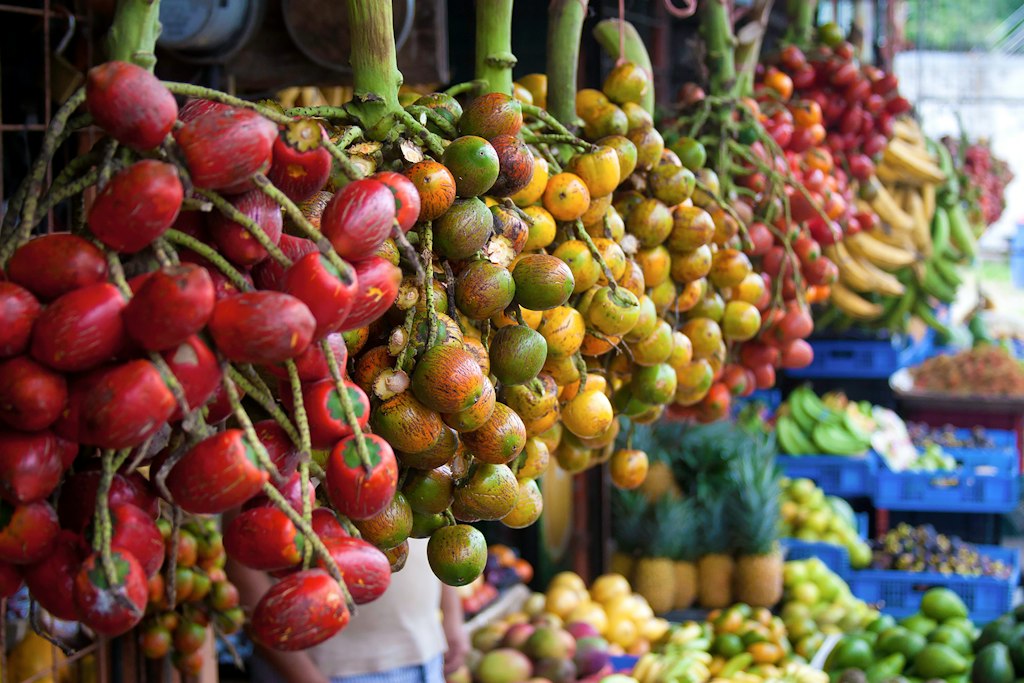 Pejibaye palm fruits