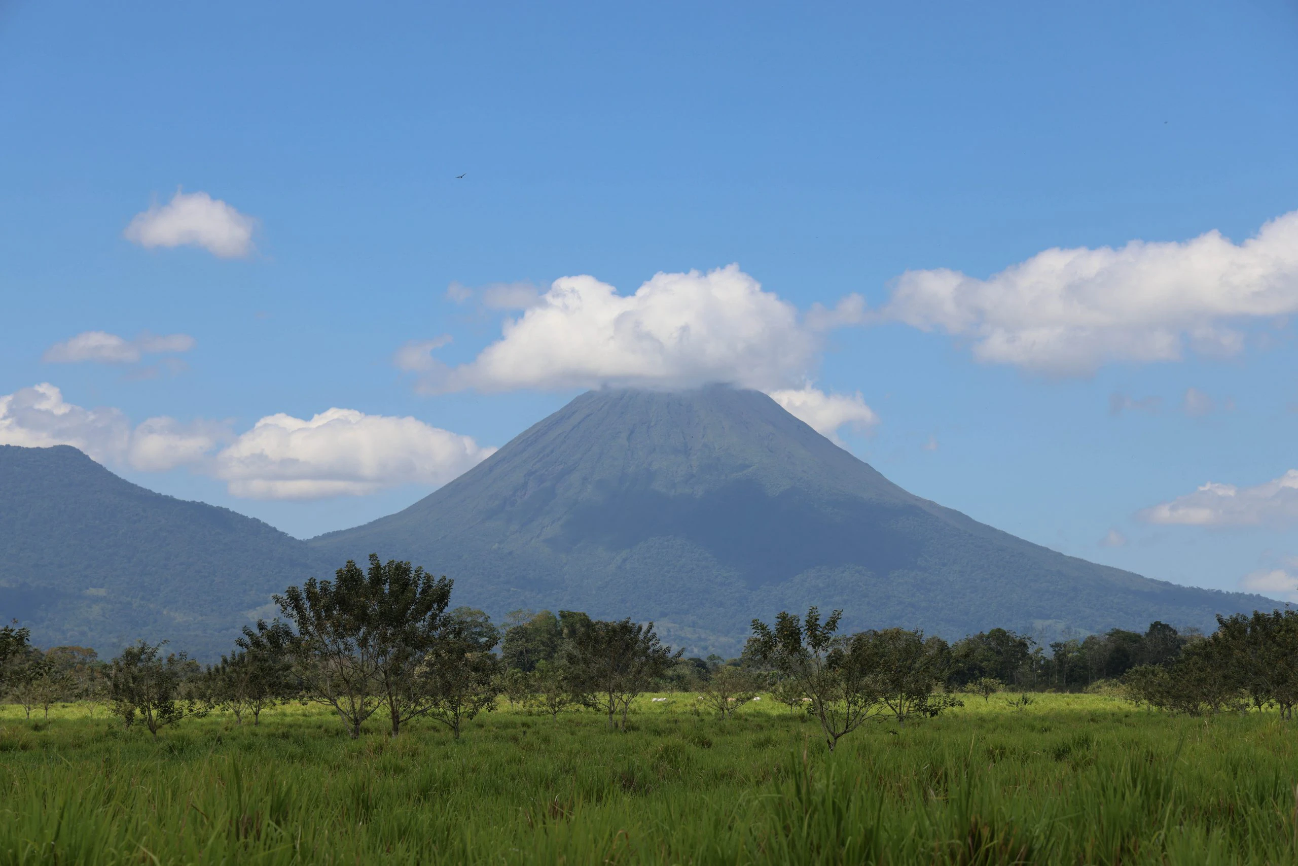 Costa Rica: Pura Vida Service