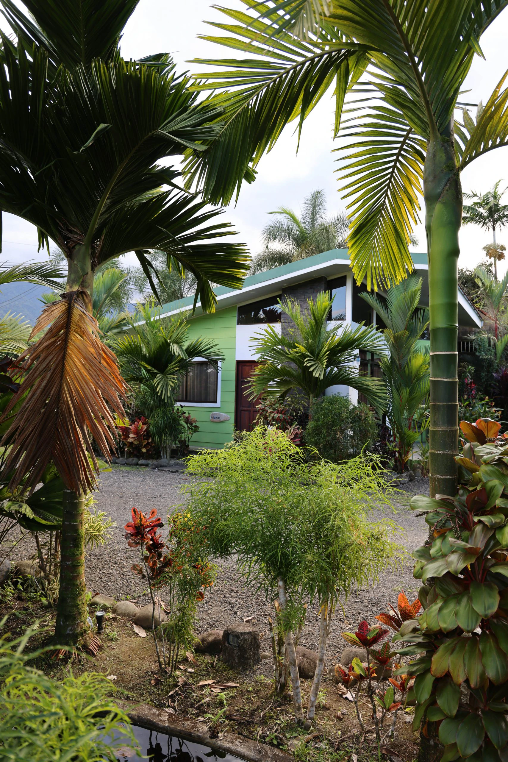 Pura Vida Service | Rustic Pathways