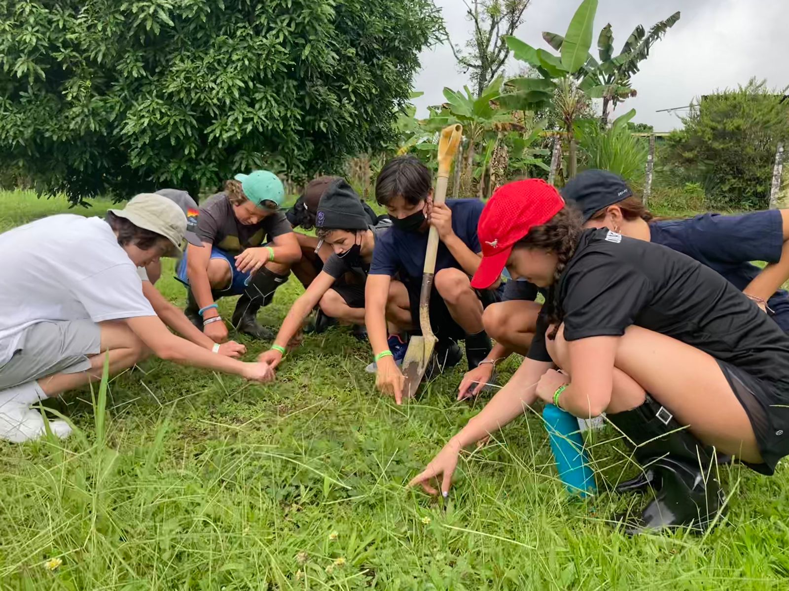 Students crouch in a grassy field examining something on the ground together