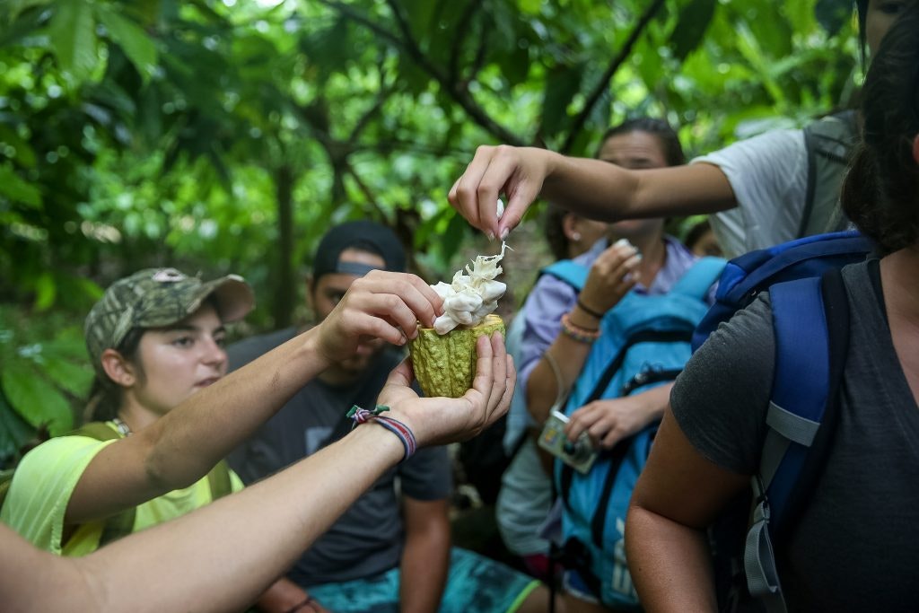 A group of students taking a break and trying local fruits on a hike during an adventure teen tour in Costa Rica