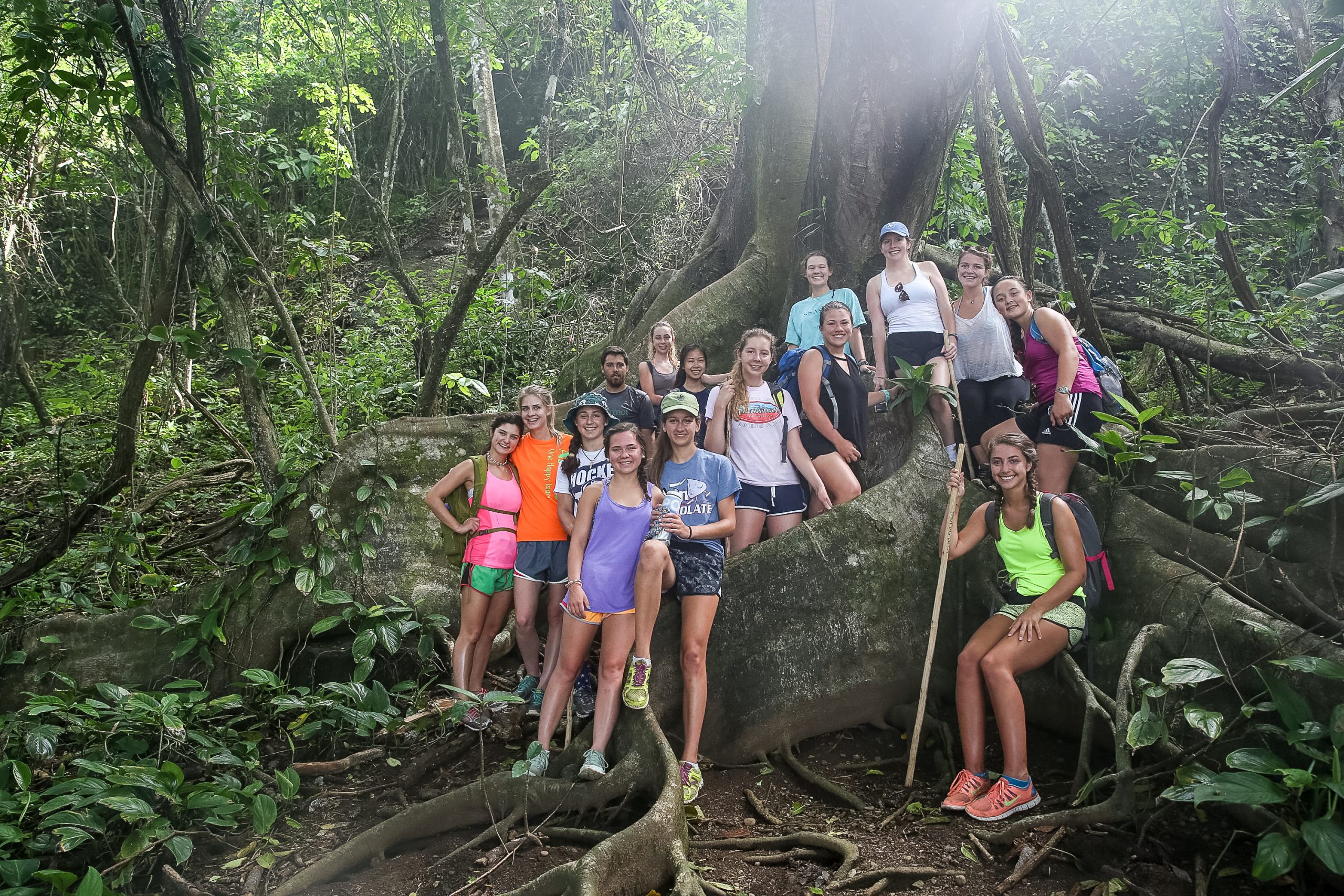Students pose on the roots of a massive jungle tree during a hike