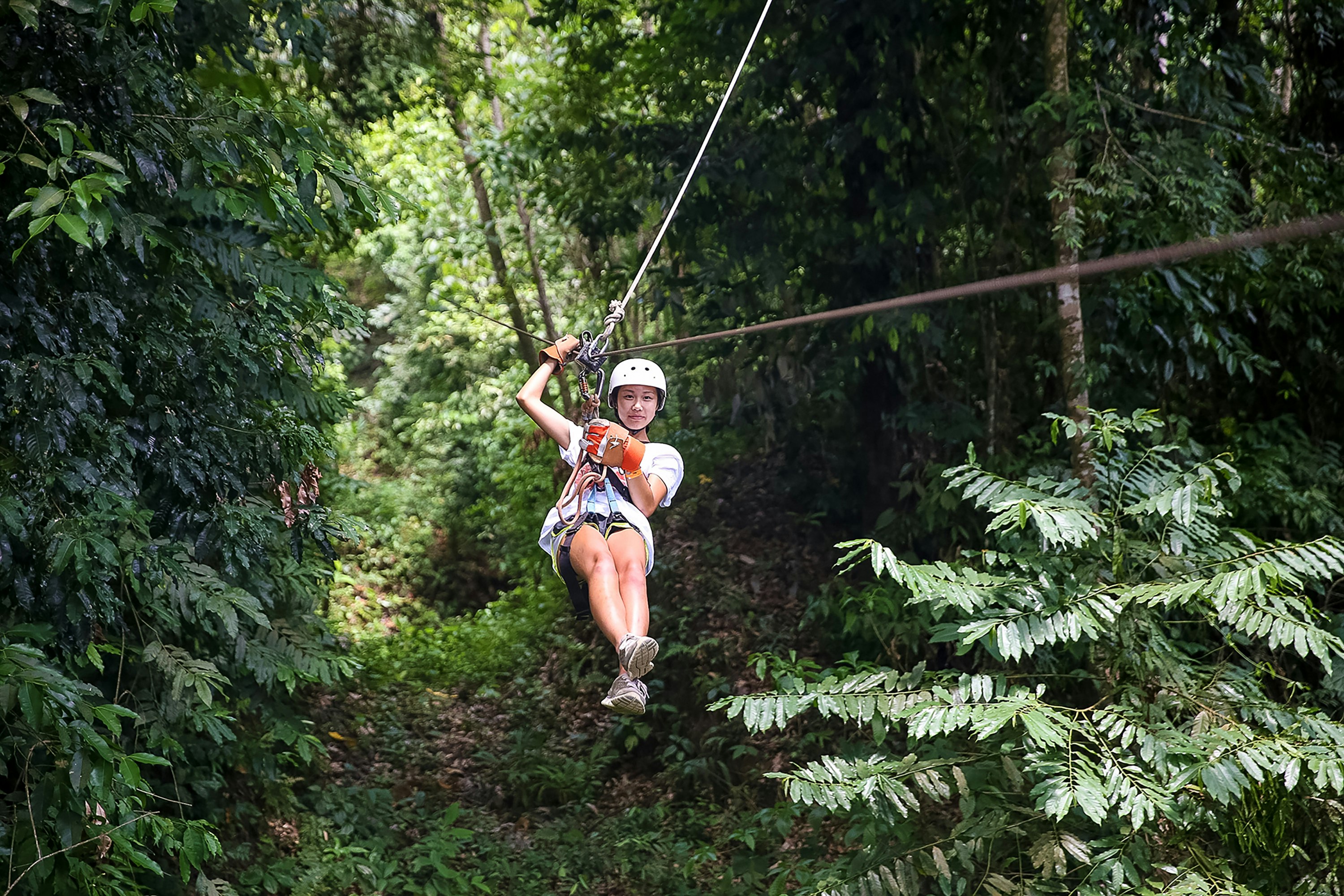 Costa Rica: Heart of the Jungle