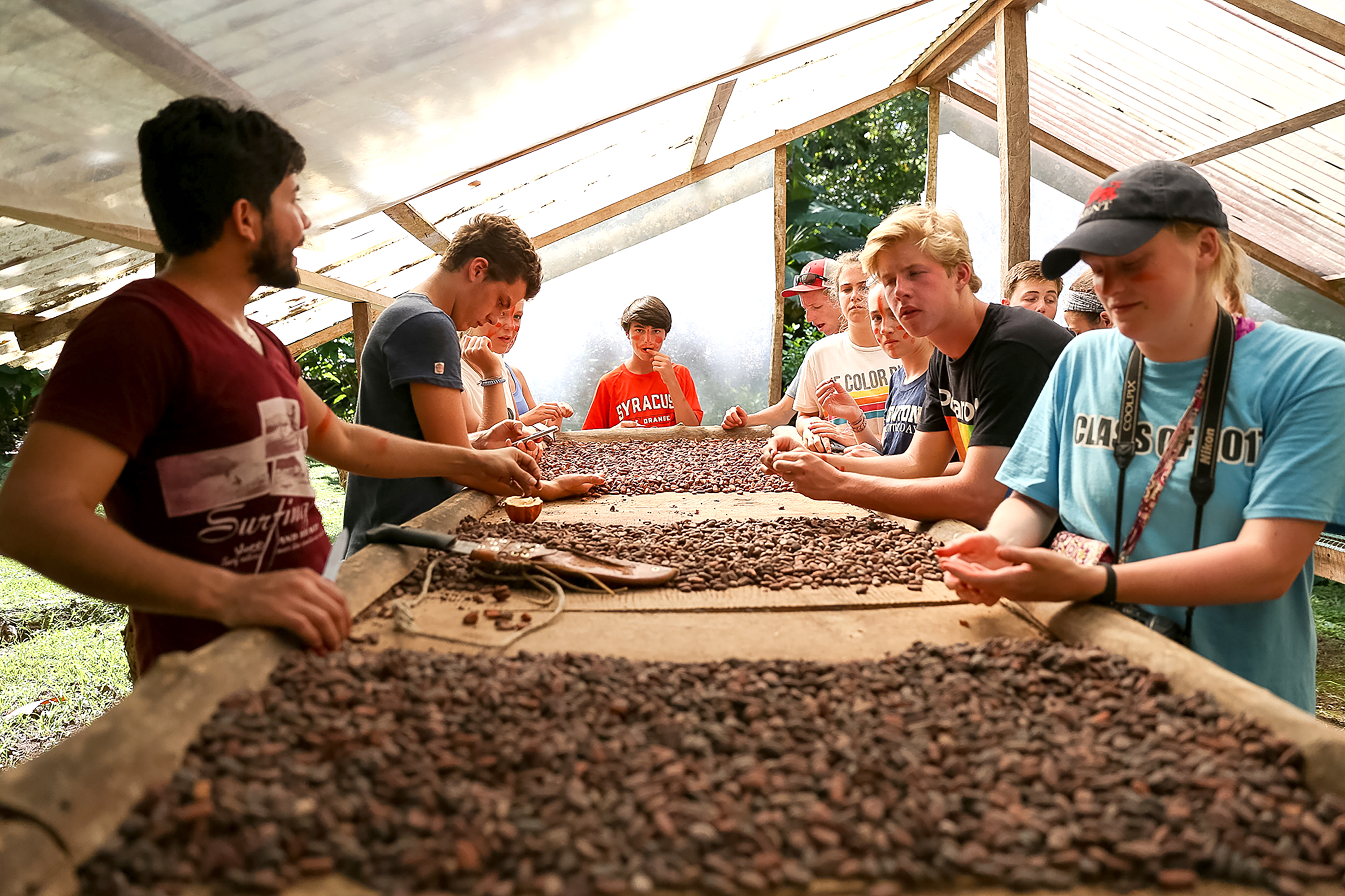 Students sort drying cacao beans by hand under a shaded outdoor rack