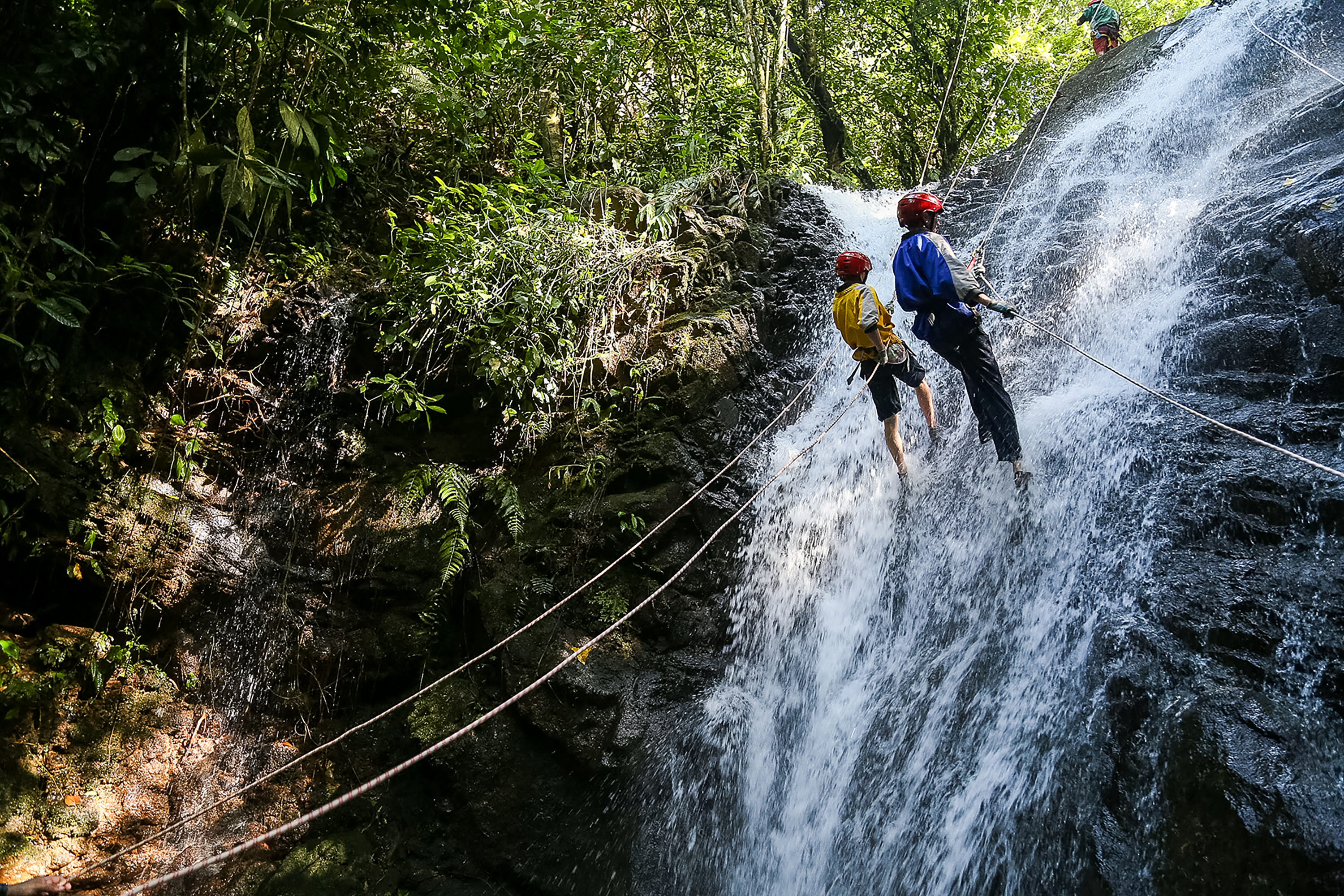 Rappelling down the face of a waterfall in the rainforest