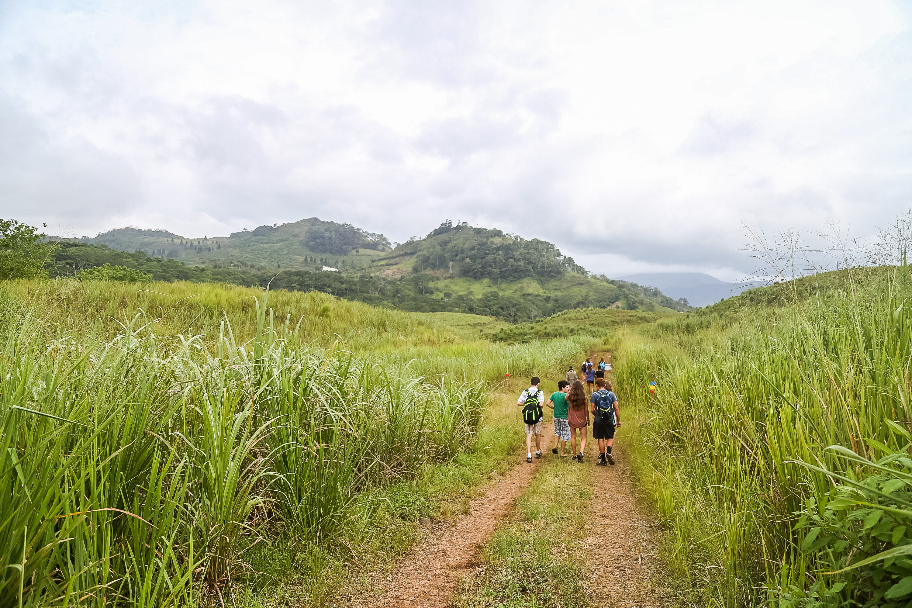 Students walk a dirt path through tall grass toward green hills