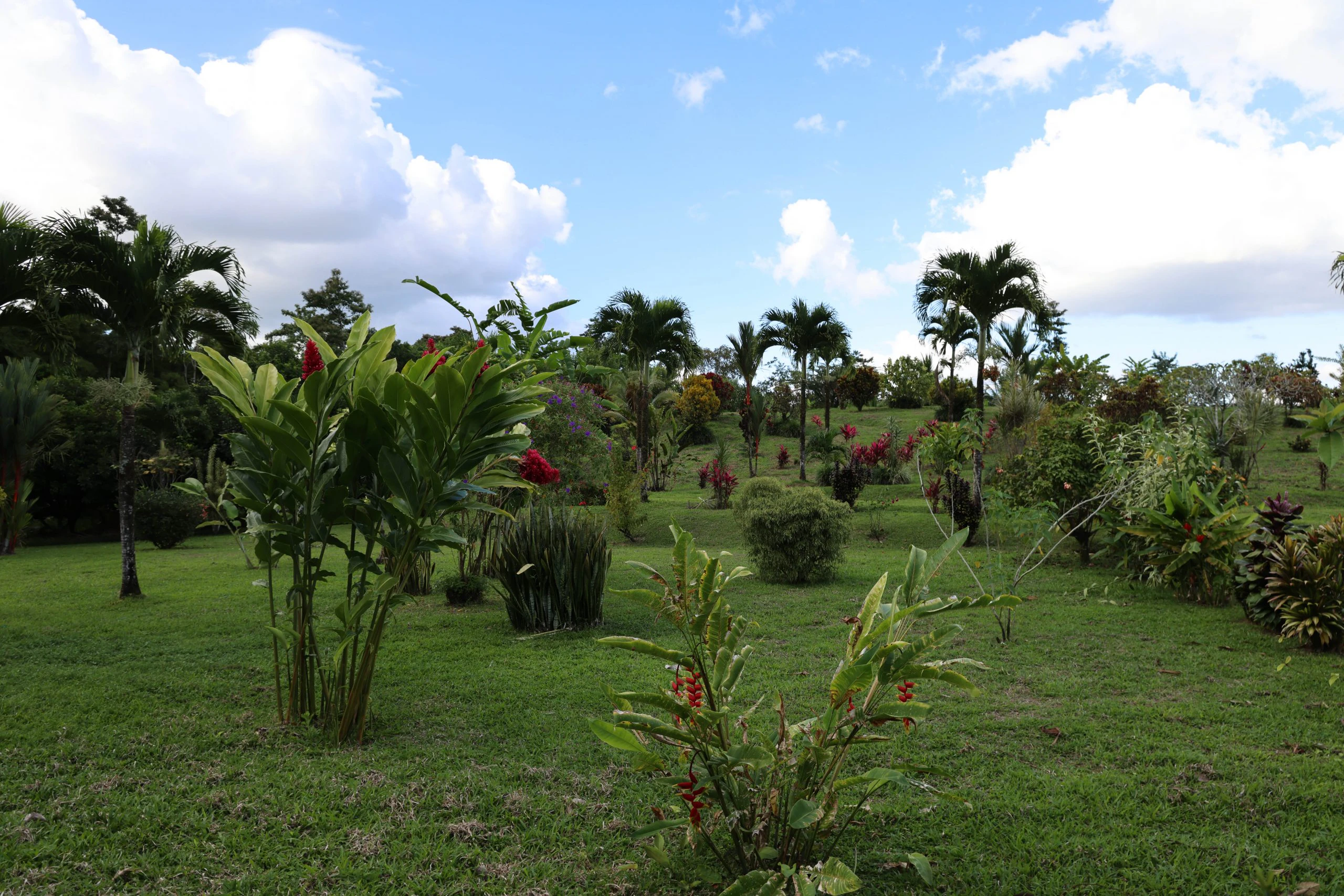 Costa Rica: Summer Camp Leadership | Rustic Pathways