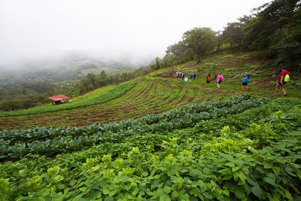 Sustainable travel
