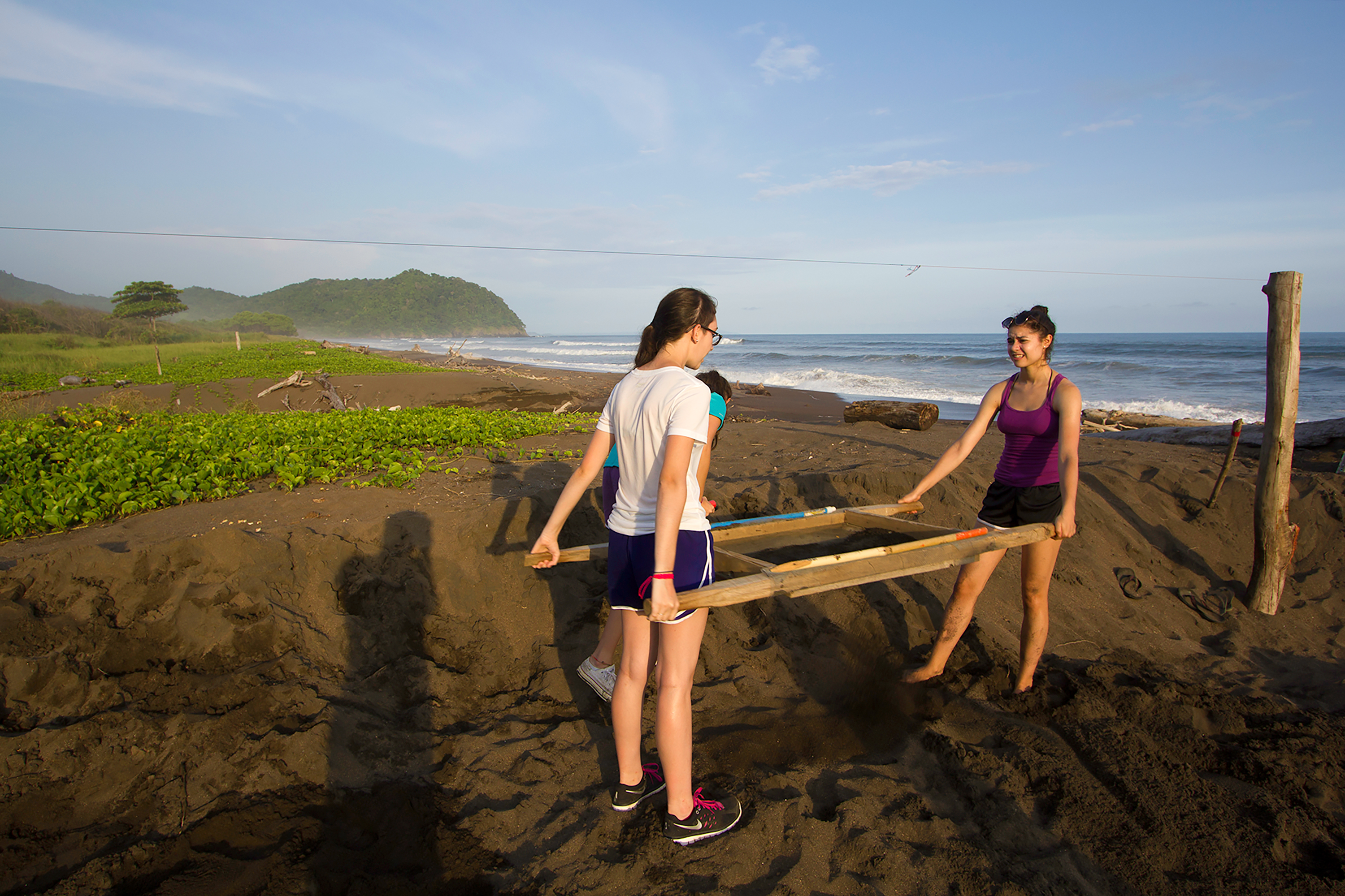Teen travelers carry a wooden frame across the sand near a turtle hatchery