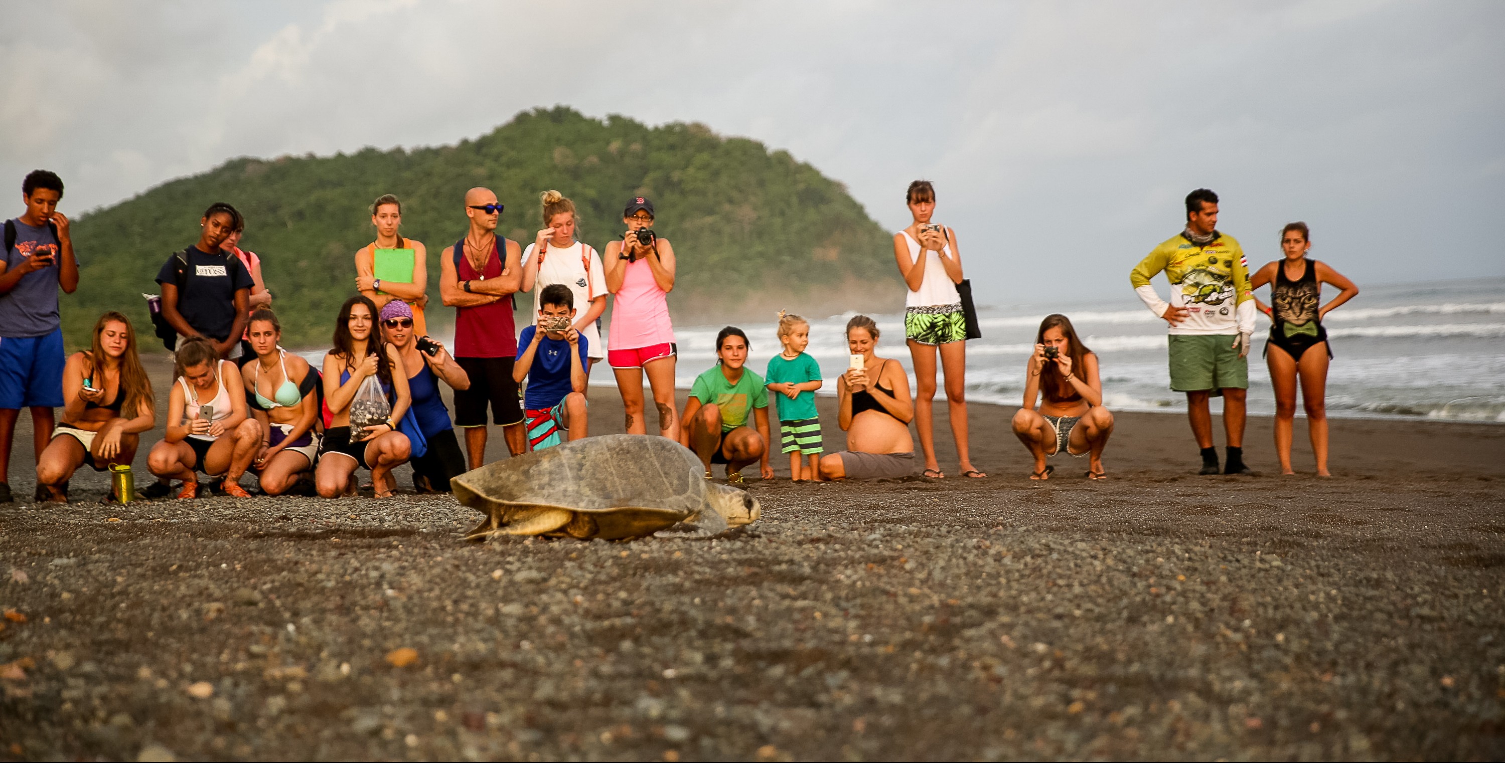Students on a beach watch a sea turtle make its way across the sand