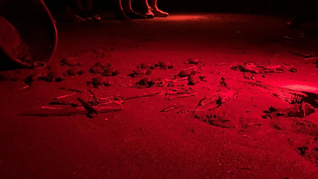 Baby sea turtles scatter across a beach lit in red light during a nighttime patrol