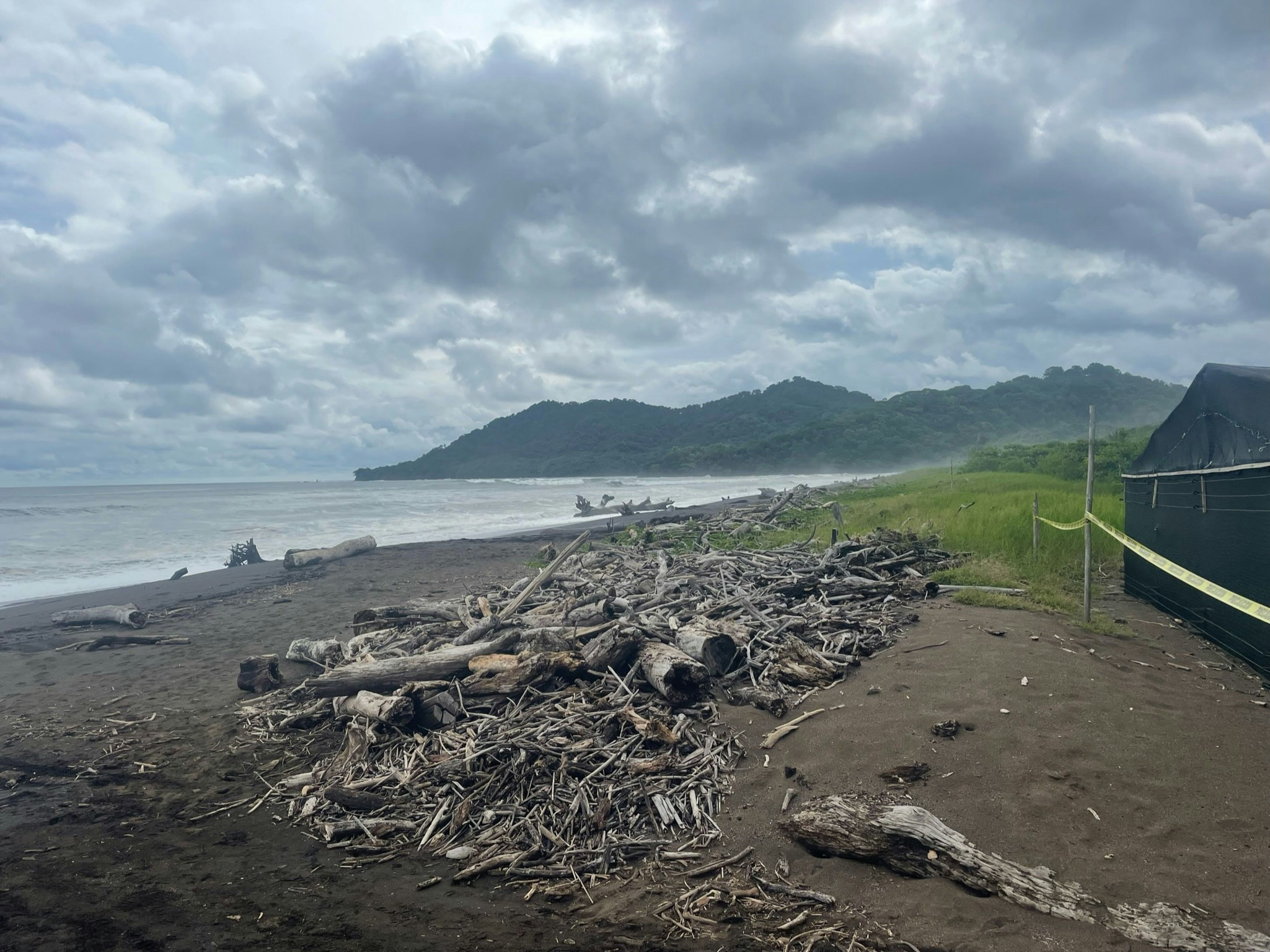 Life-Changing Encounters: Sea Turtle Conservation in Costa Rica