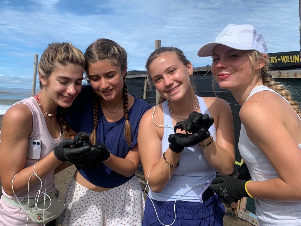 Students holding baby sea turtles during a service learning project in Costa Rica.