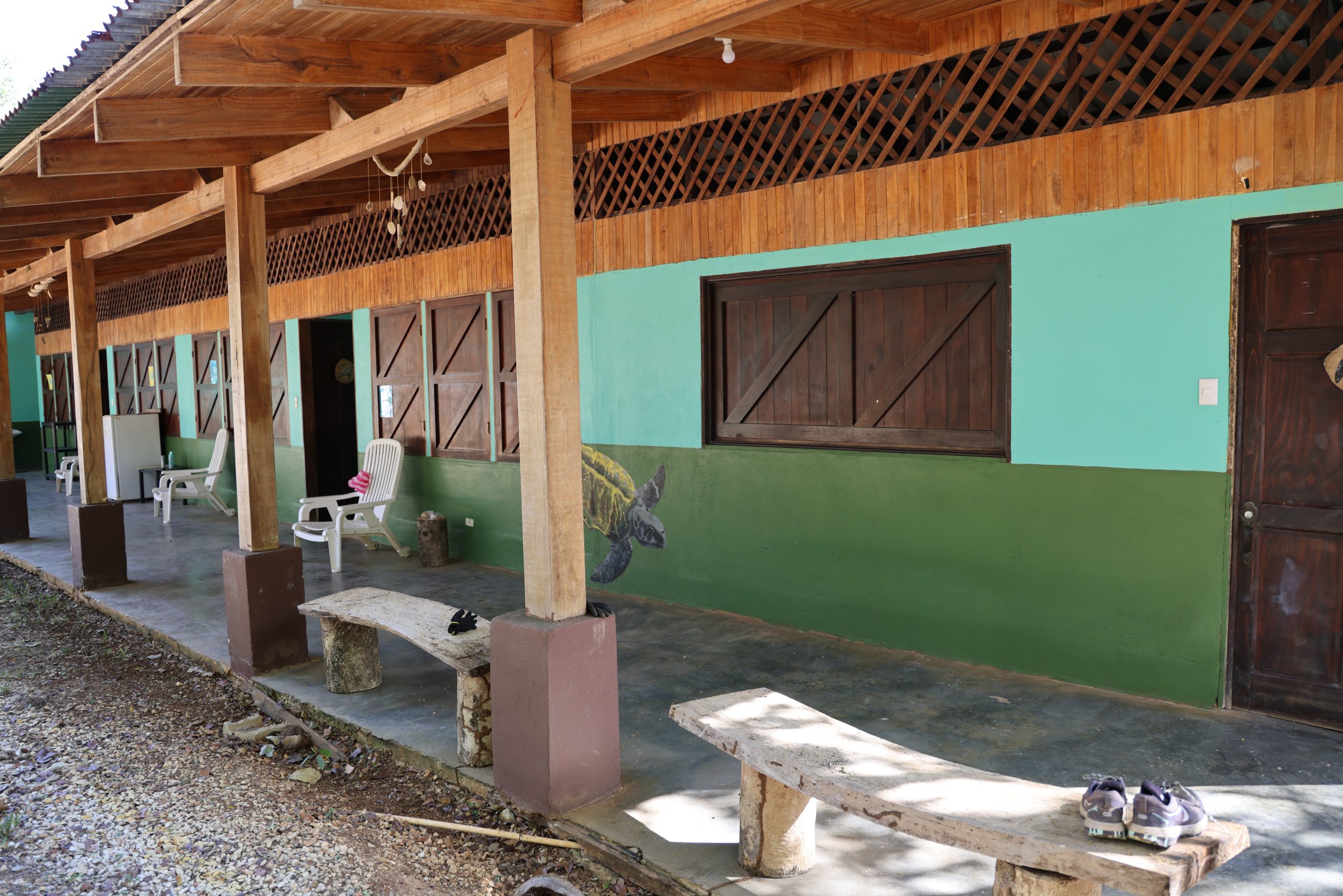 Picture of accomodation in Costa Rica with painting of turtle on the wall.
