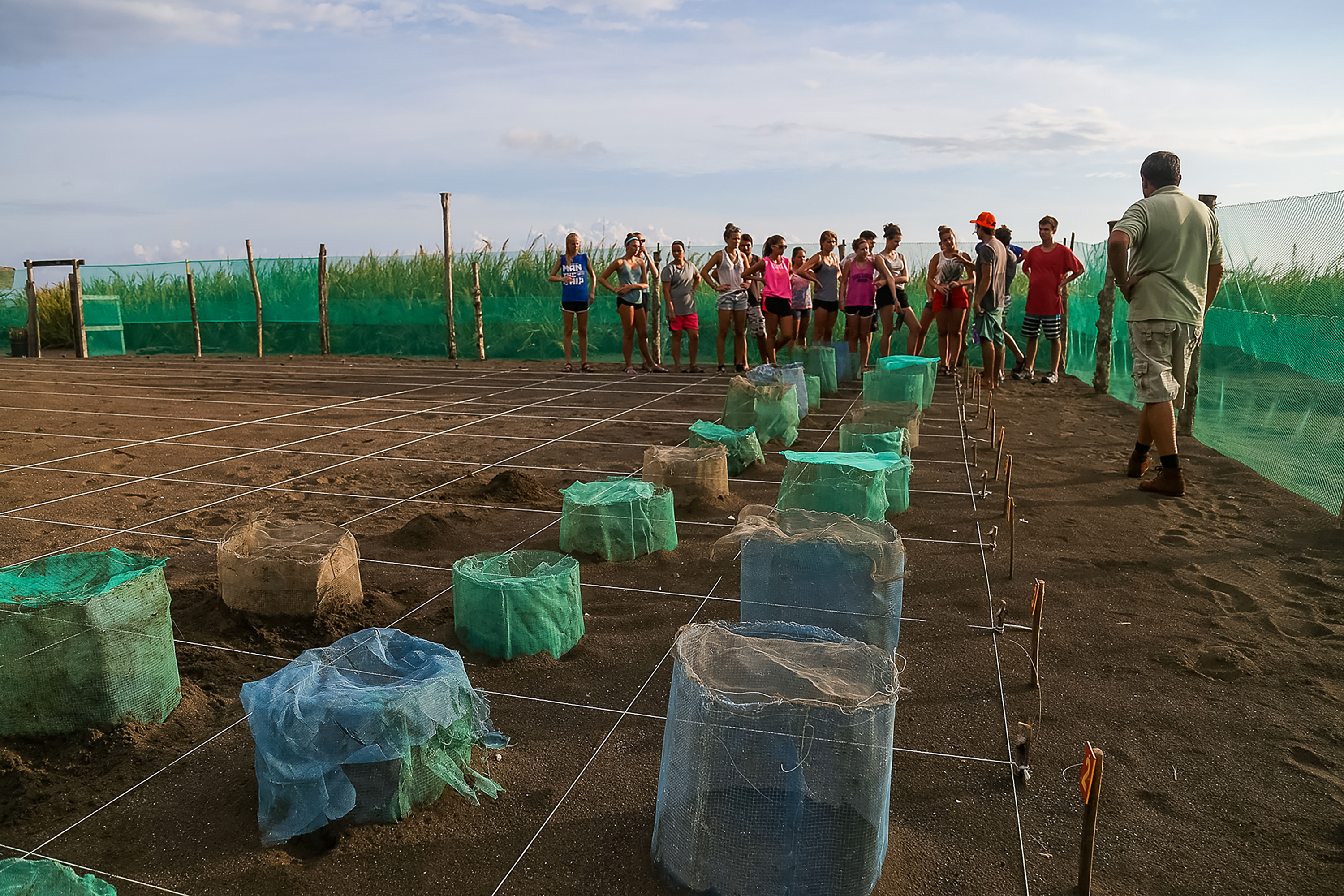 Students gather beside mesh-covered turtle nests marked in a grid on the sand