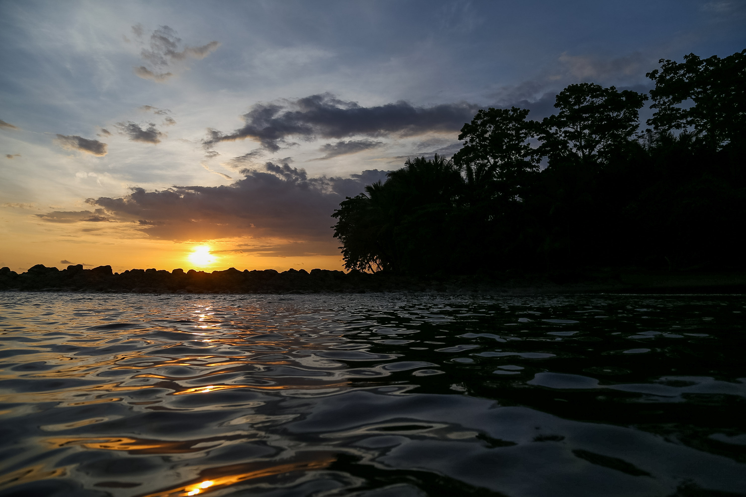 Sunset glows over calm water with a silhouetted tree line along the shore