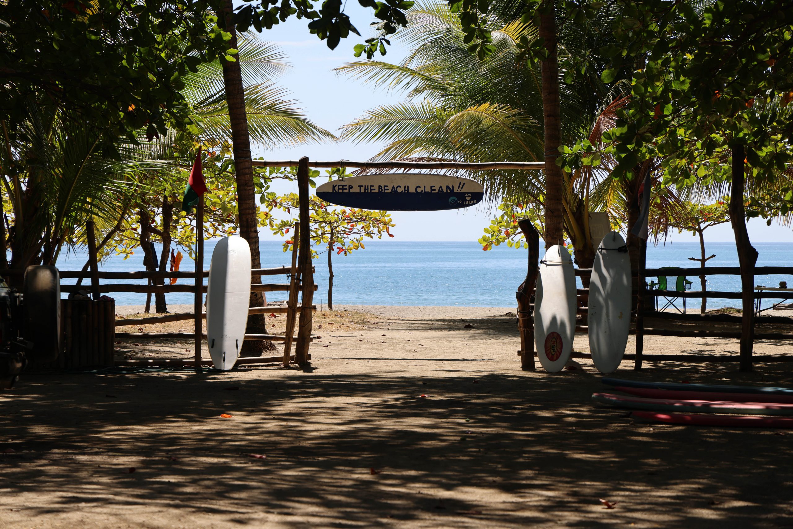 Surfboards lean against a wooden gateway leading to the beach, framed by palm trees