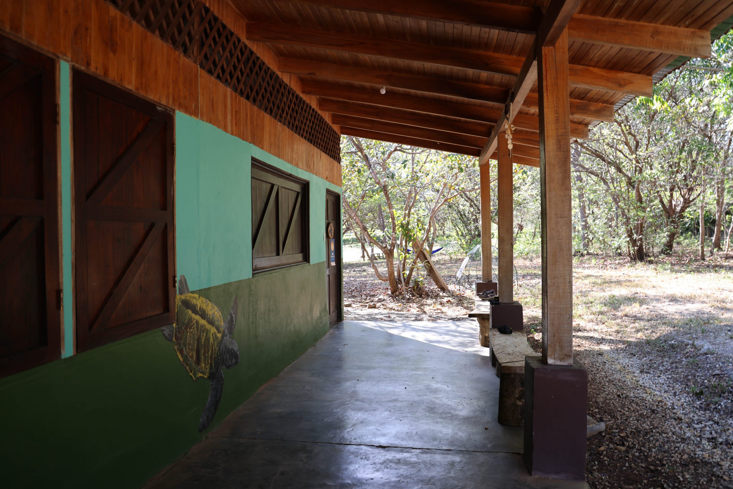 Picture of outdoor of accomodation in Costa Rica with turtle painted on the wall.