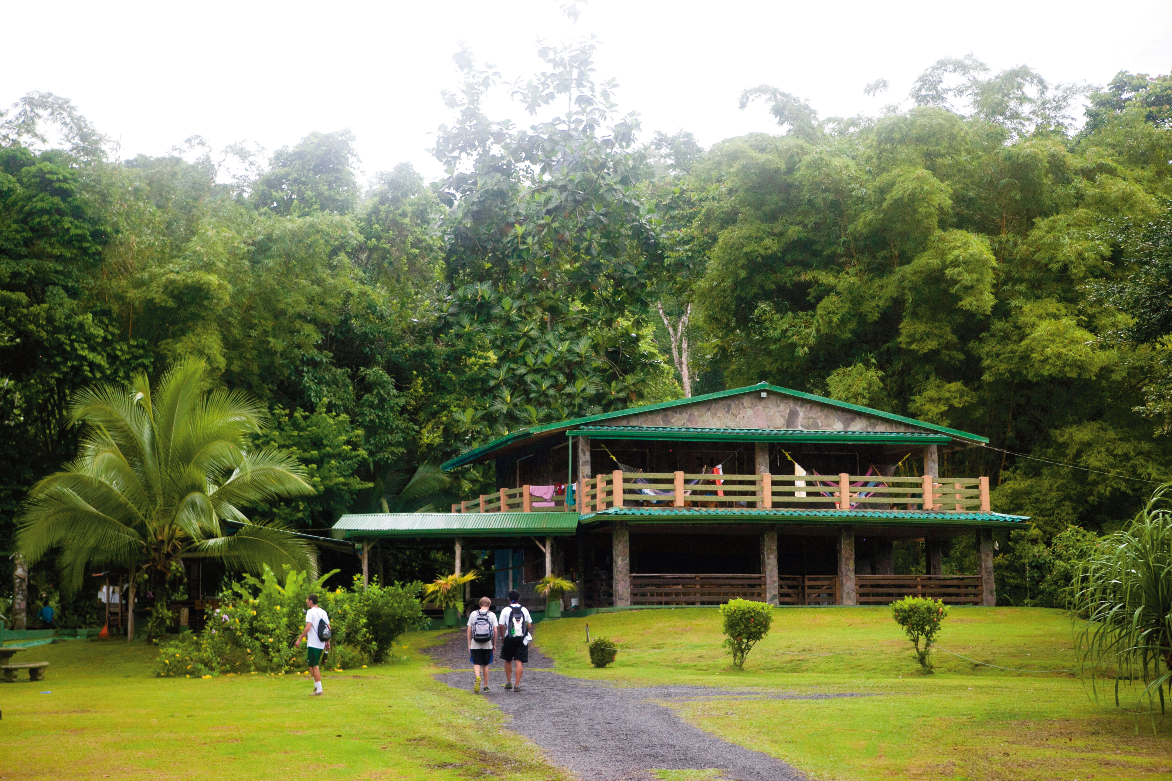Volcano and Rainforest Base surroundings