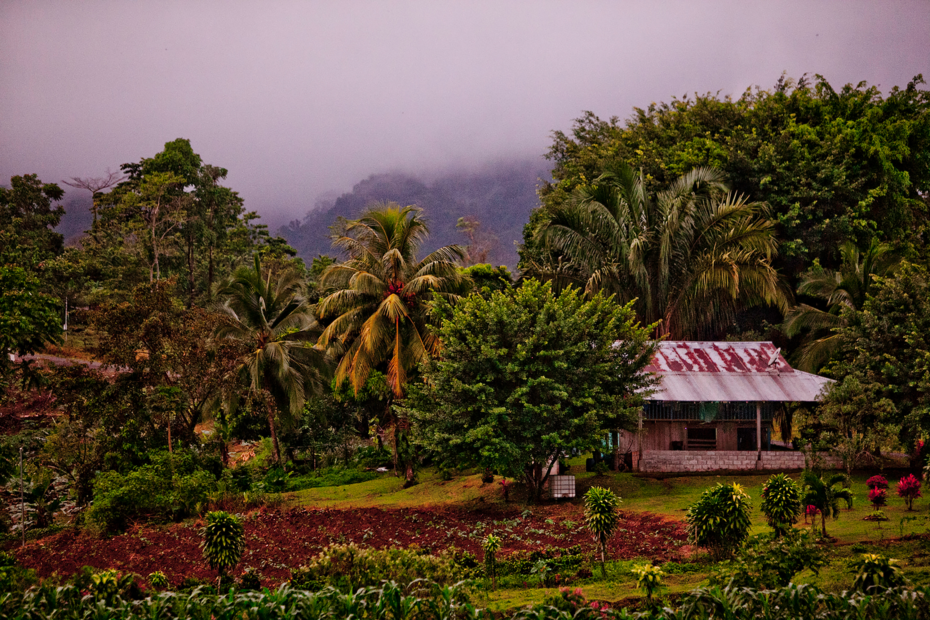School Trip to Costa Rica: Sarapiquí Ecological Research