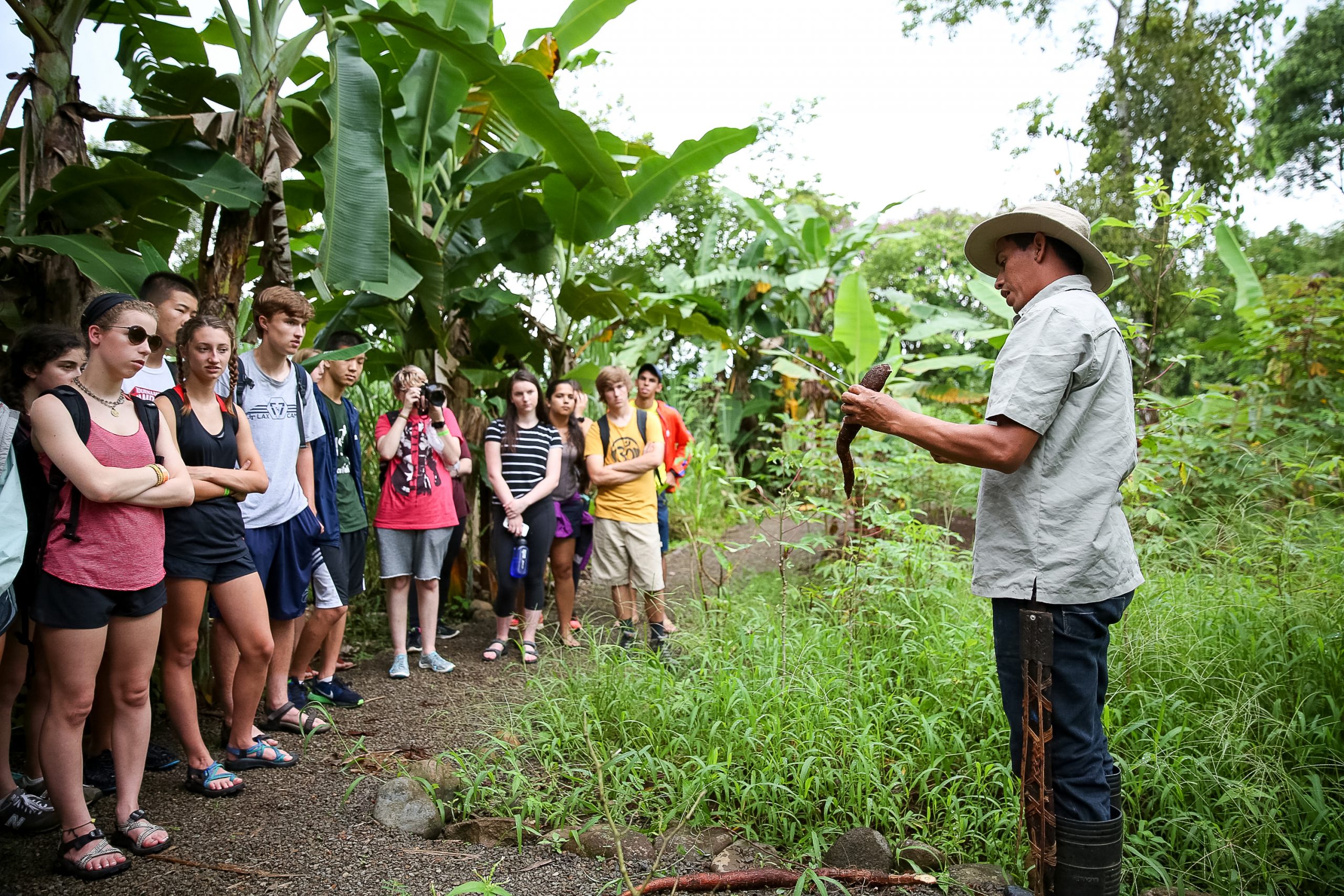 A guide shows students a plant while standing along a banana grove path