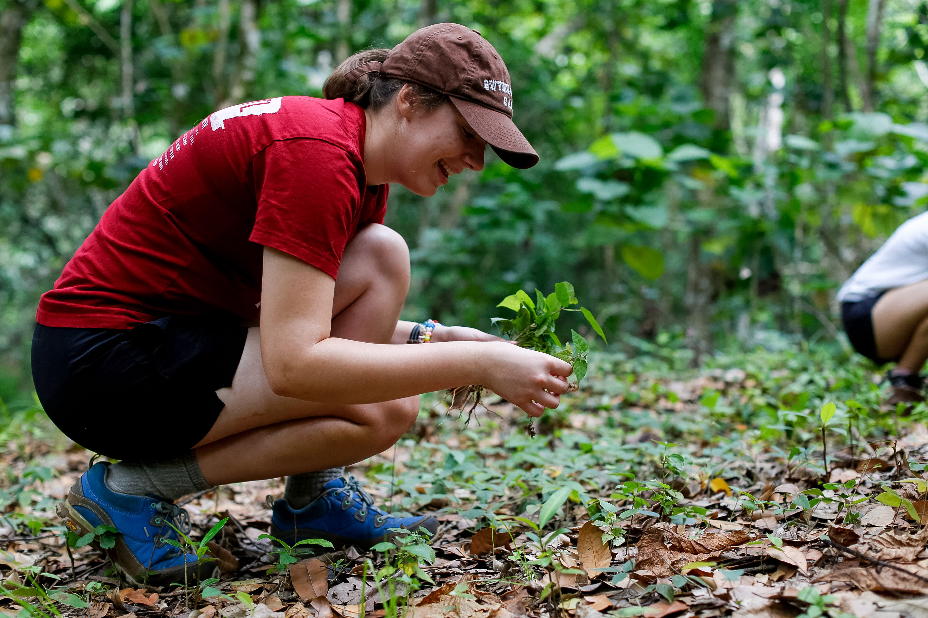 On a school trip, a student crouches to plant a seedling in the forest