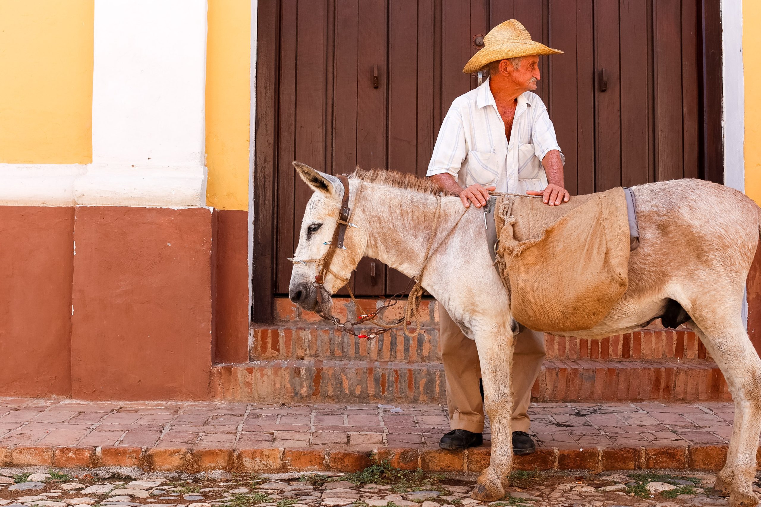 An elderly Cuban man wearing a straw hat, sitting on a donkey in a historic town.