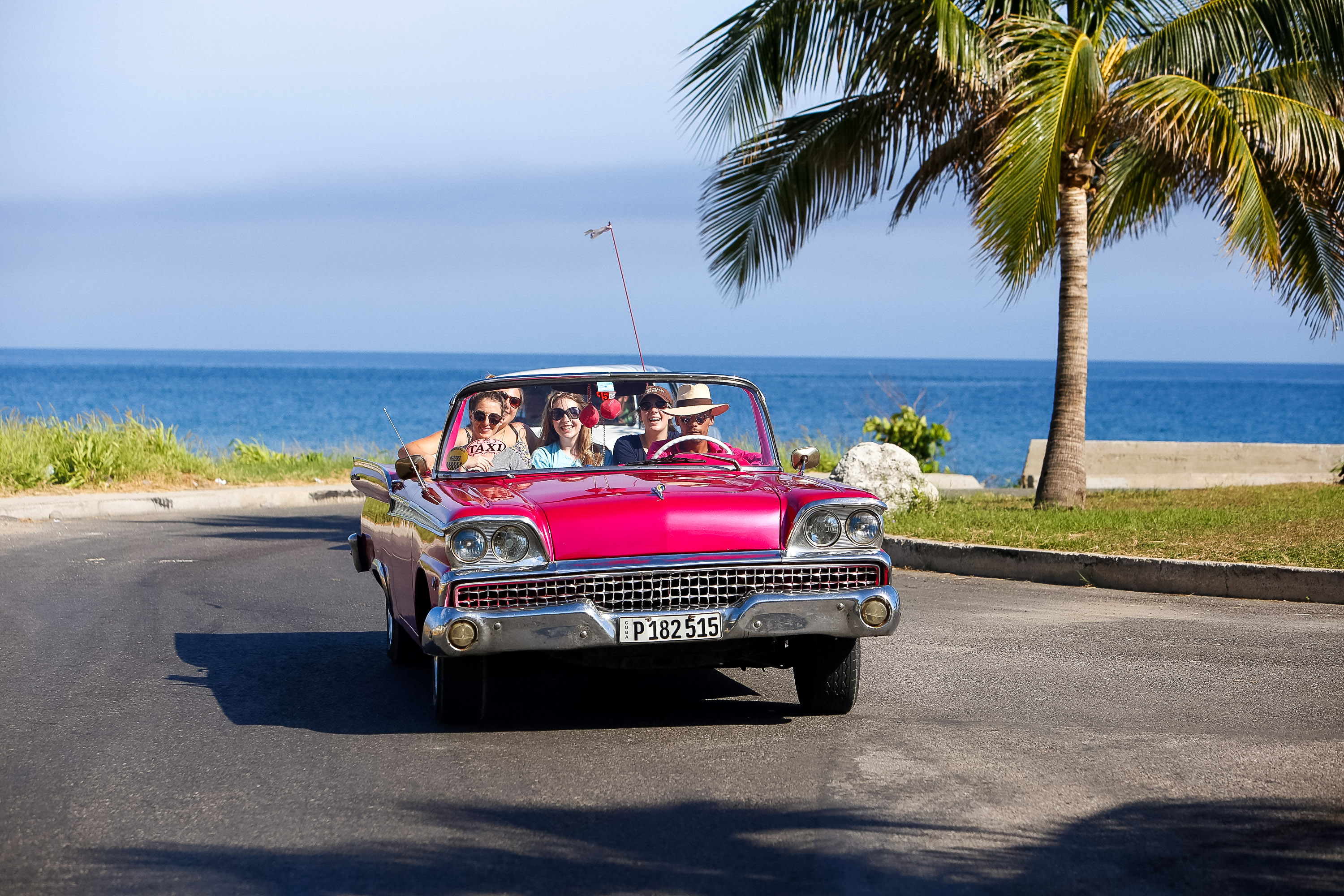 Students ride in a pink vintage convertible along a palm-lined coastal road