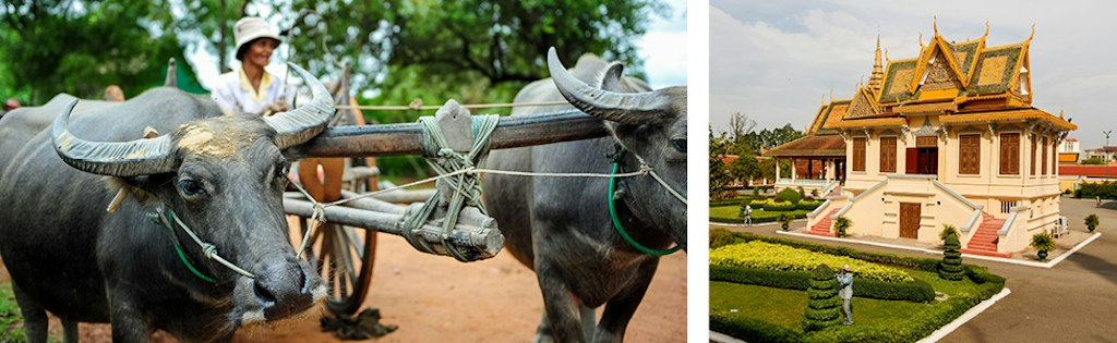 Farmer with a traditional wooden plow and ox on a dirt path. The right side image is a traditional Cambodian temple with intricate golden architecture.