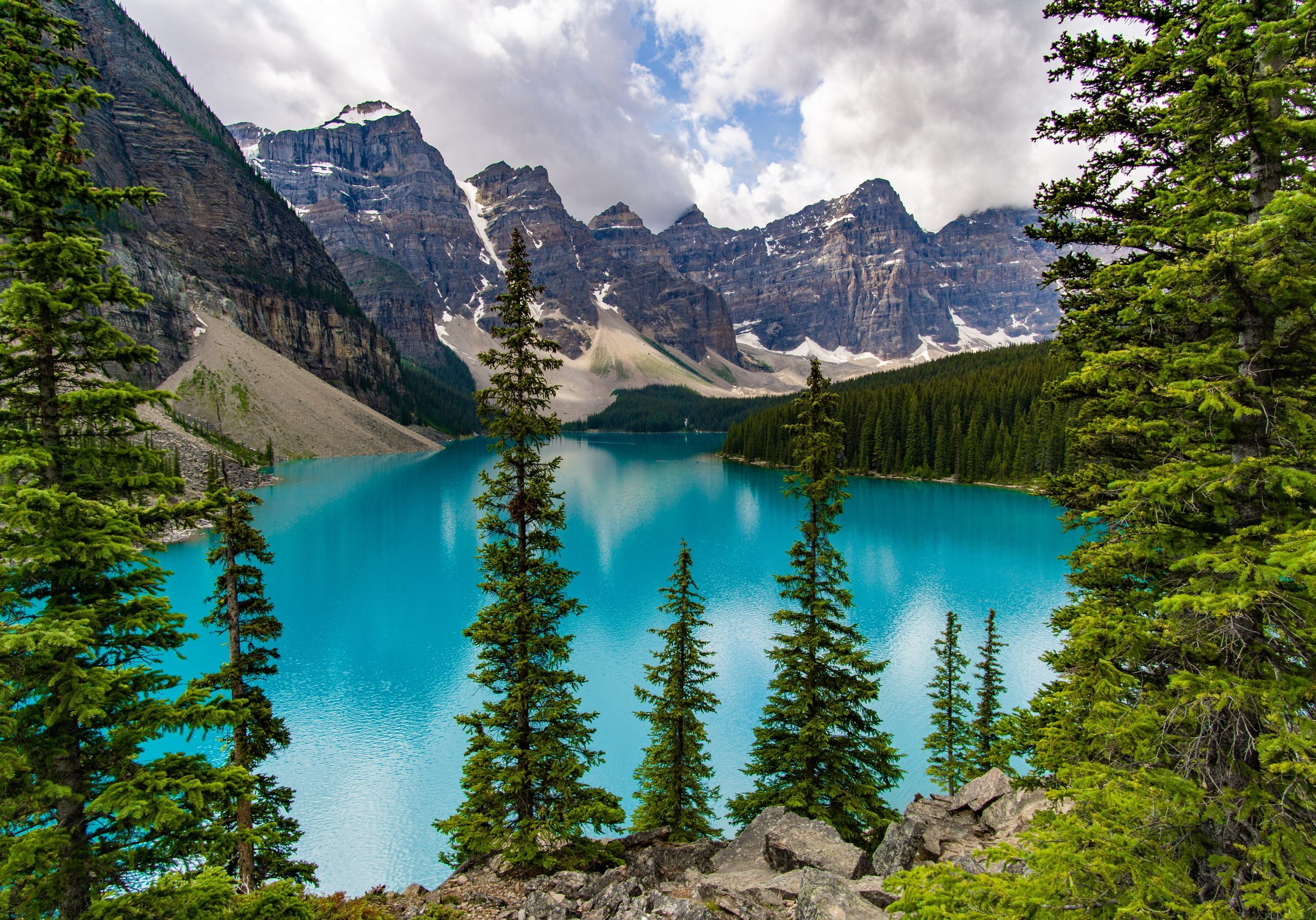 A view of a lake surrounded by trees.