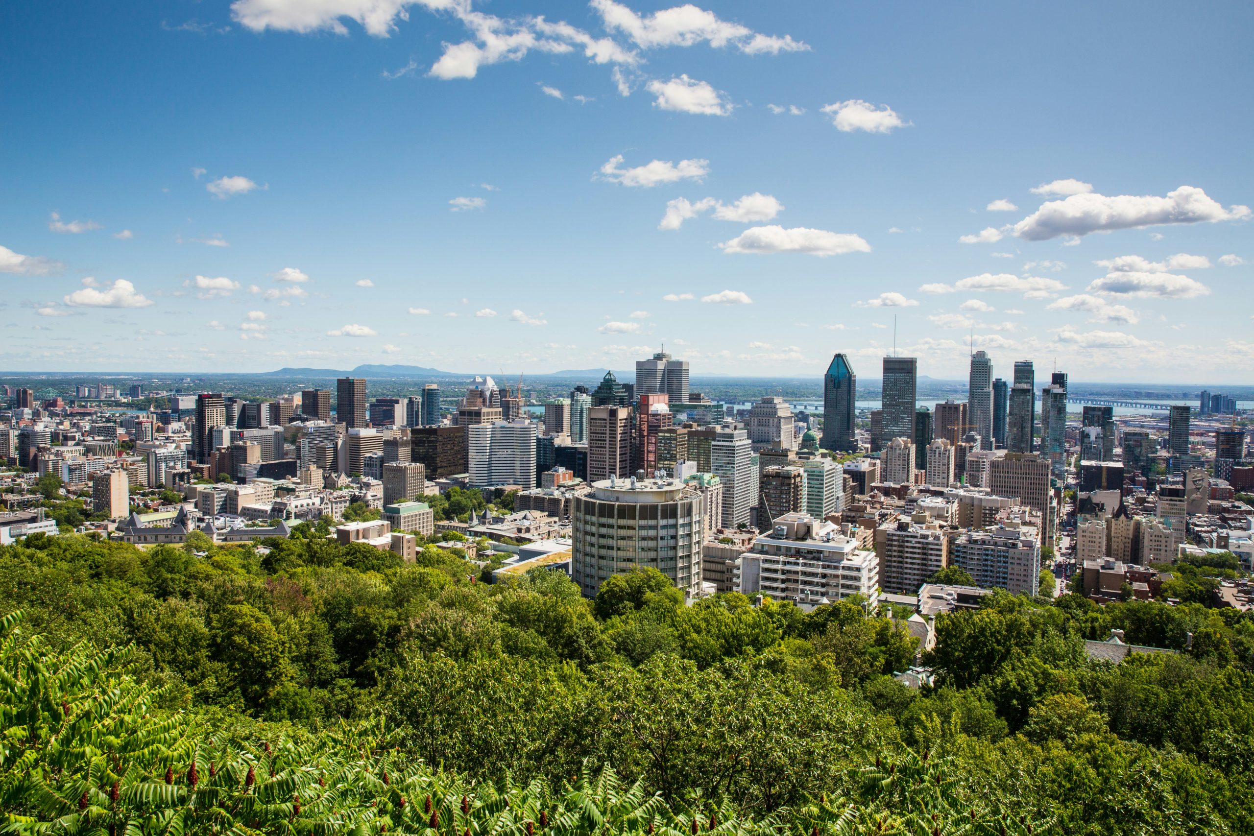 The Montréal skyline rises beyond the treeline of Mount Royal under a blue sky with scattered clouds.