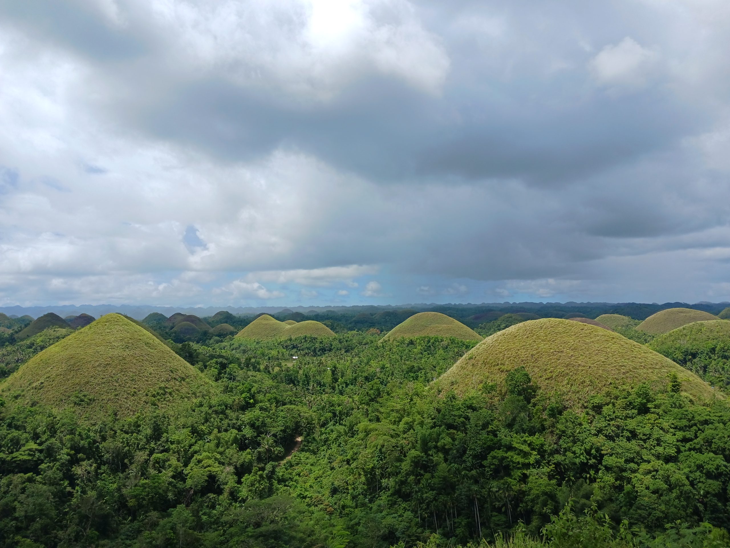 A panoramic view of the Chocolate Hills in Bohol, Philippines.