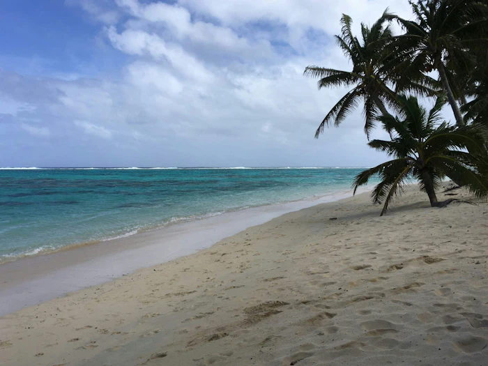 Clear turquoise lagoon water meets a wide white-sand beach beneath a cloudy sky, with a single palm tree leaning into frame.