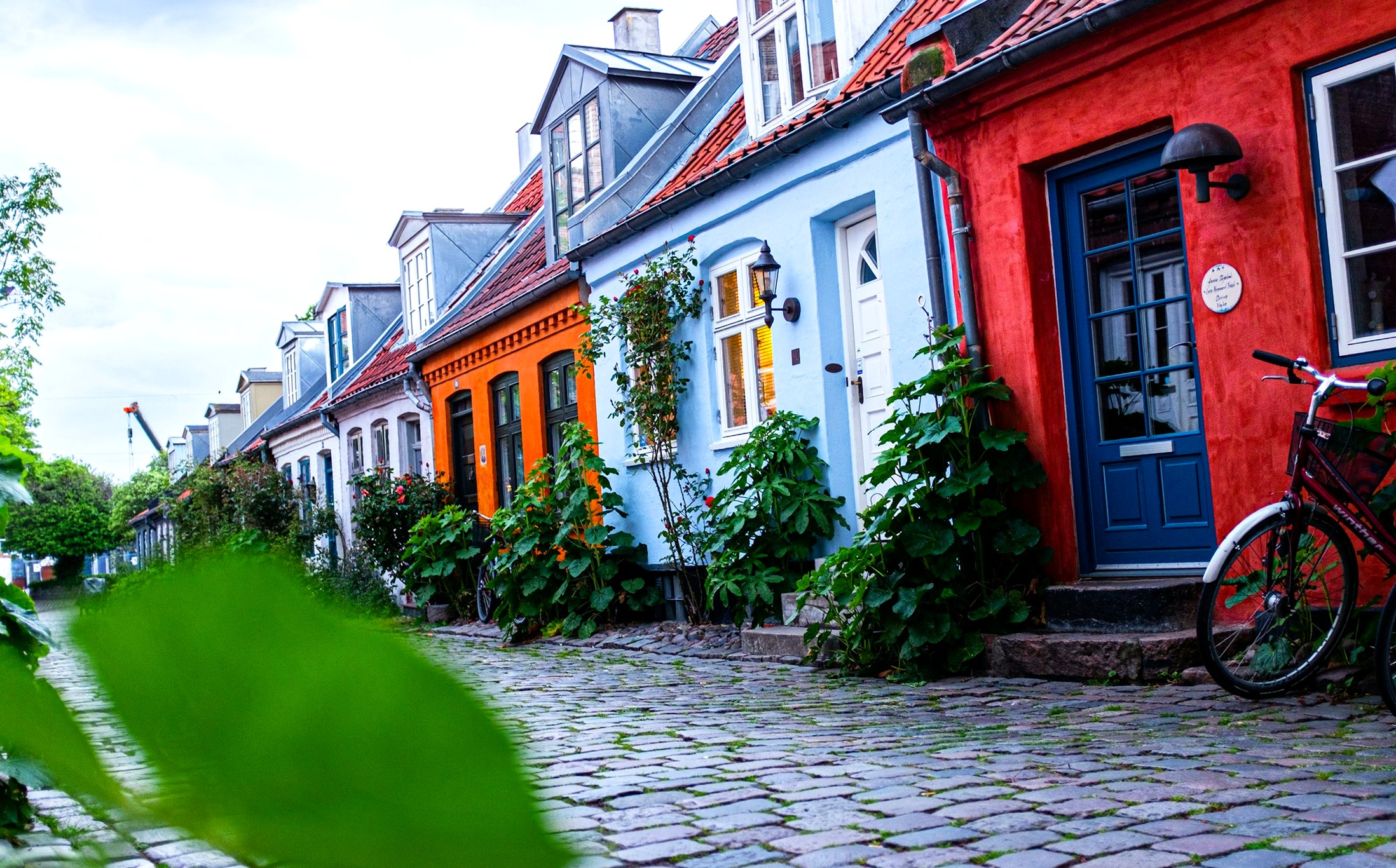 Pastel-painted cottages with climbing roses along the cobbled lane of Møllestien in Aarhus, a bicycle parked by a blue door.