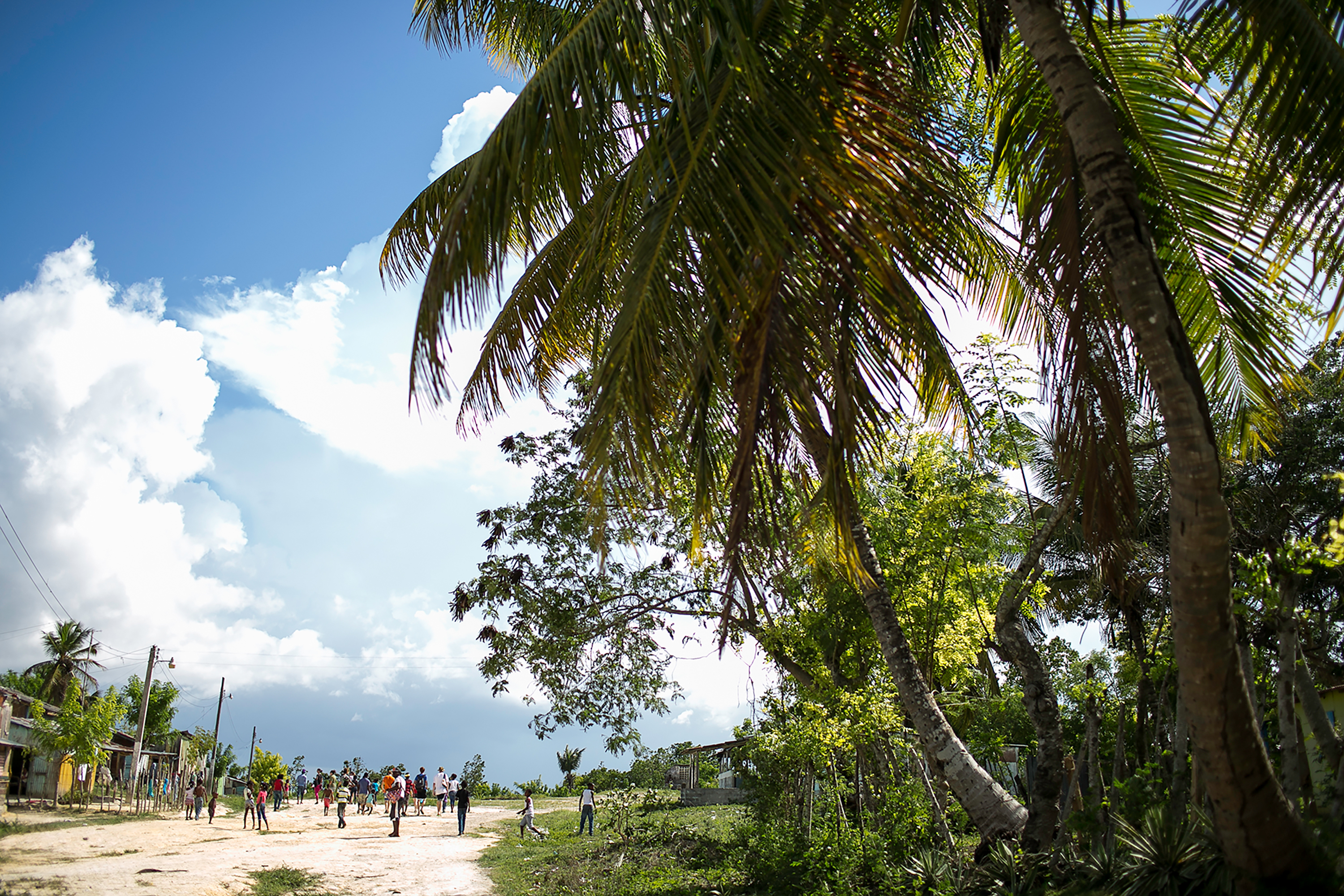 A dirt road lined with palm trees leads through a batey village under a partly cloudy sky