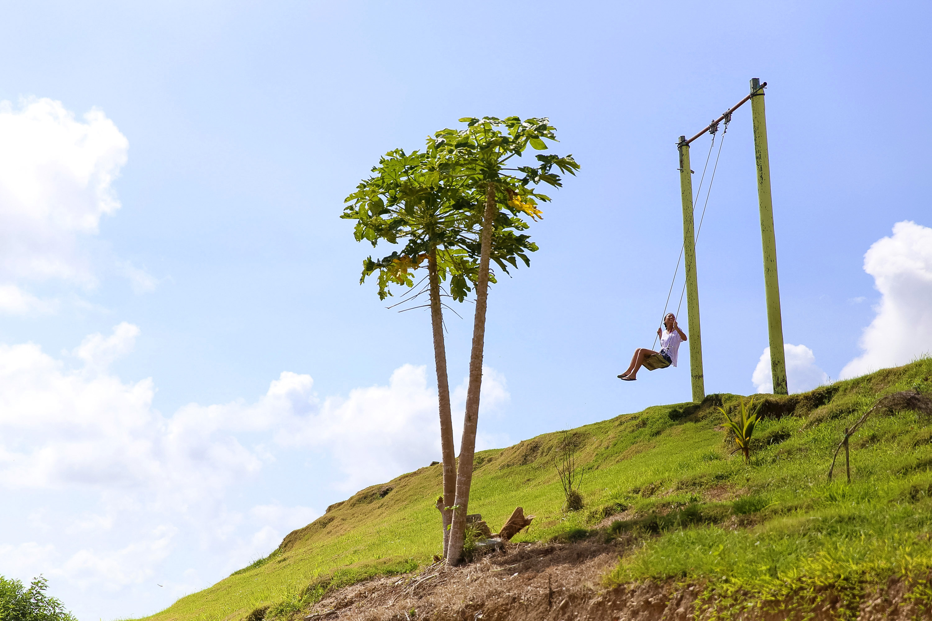 A student swings from a rope swing atop a grassy hill