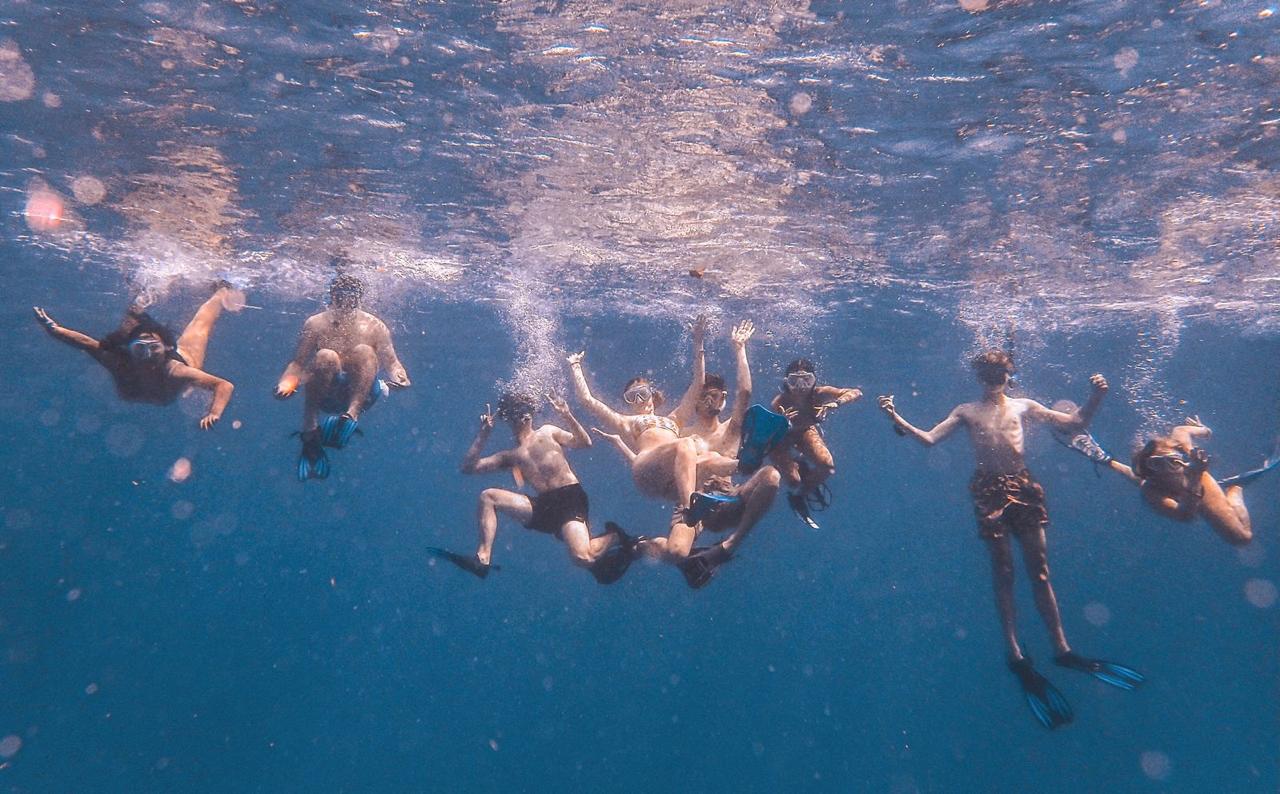 Snorkelers swim together underwater with fins and masks