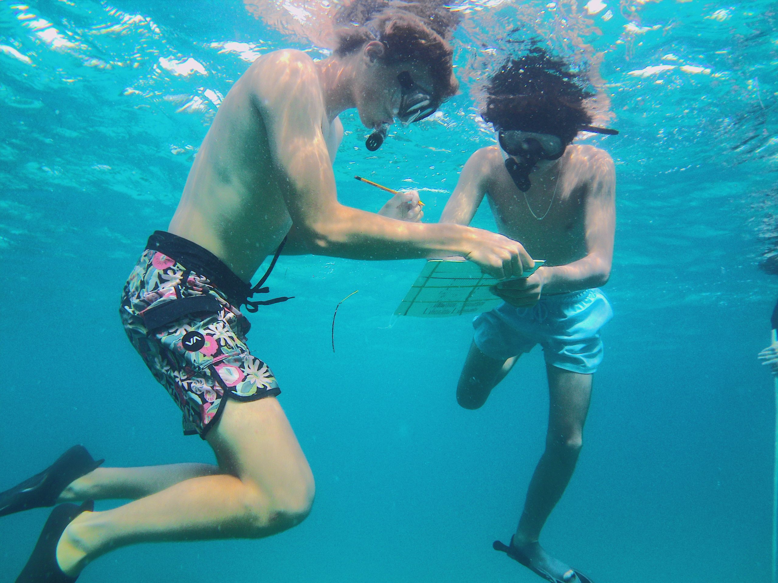 On a school trip, students snorkel underwater while recording data on a slate