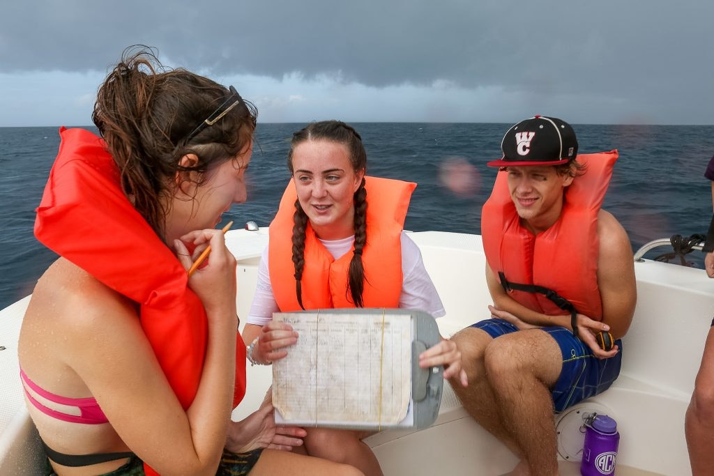 Travel by boat and learn to collect data crucial to marine monitoring