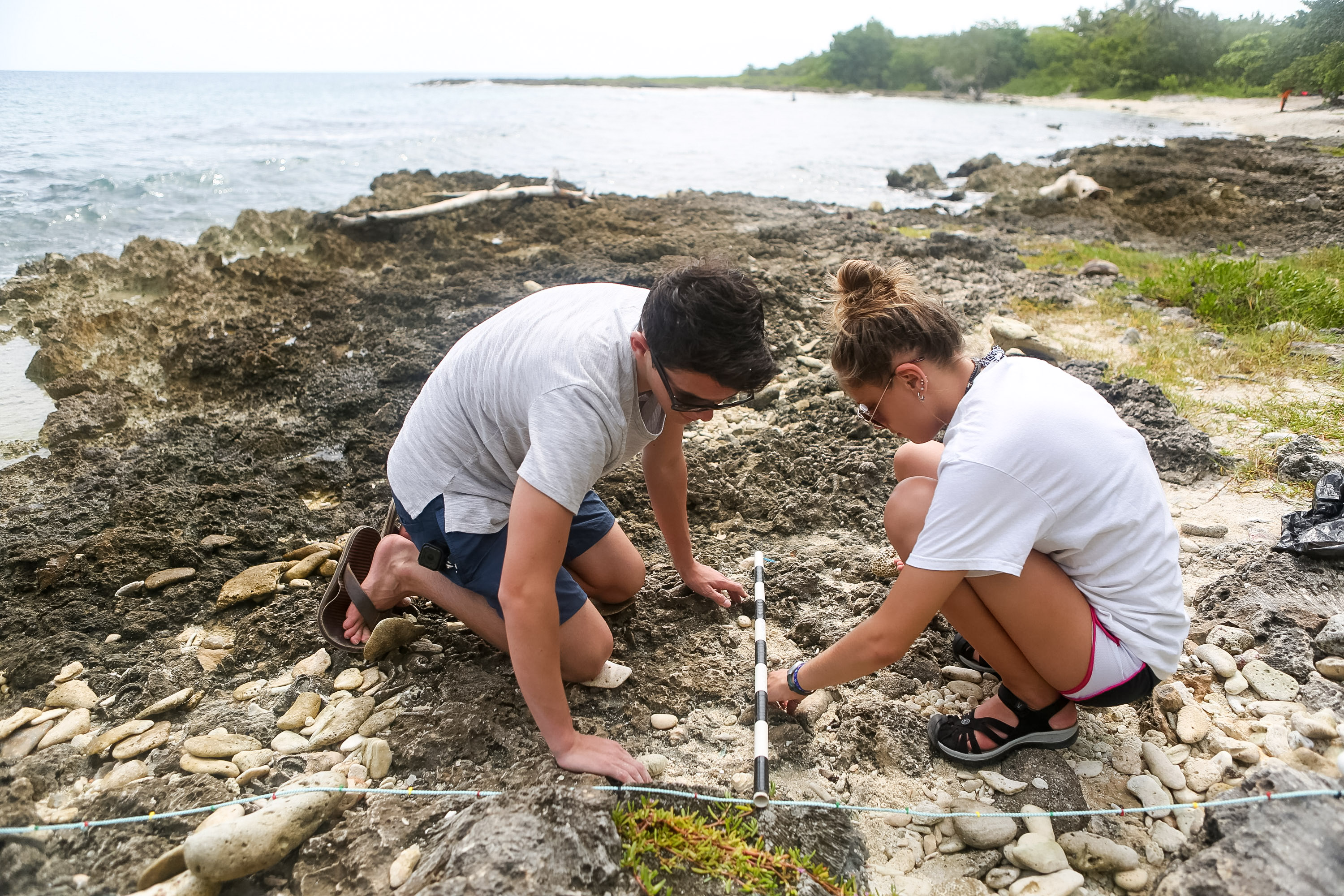 Students measure a rocky shoreline plot along the coast