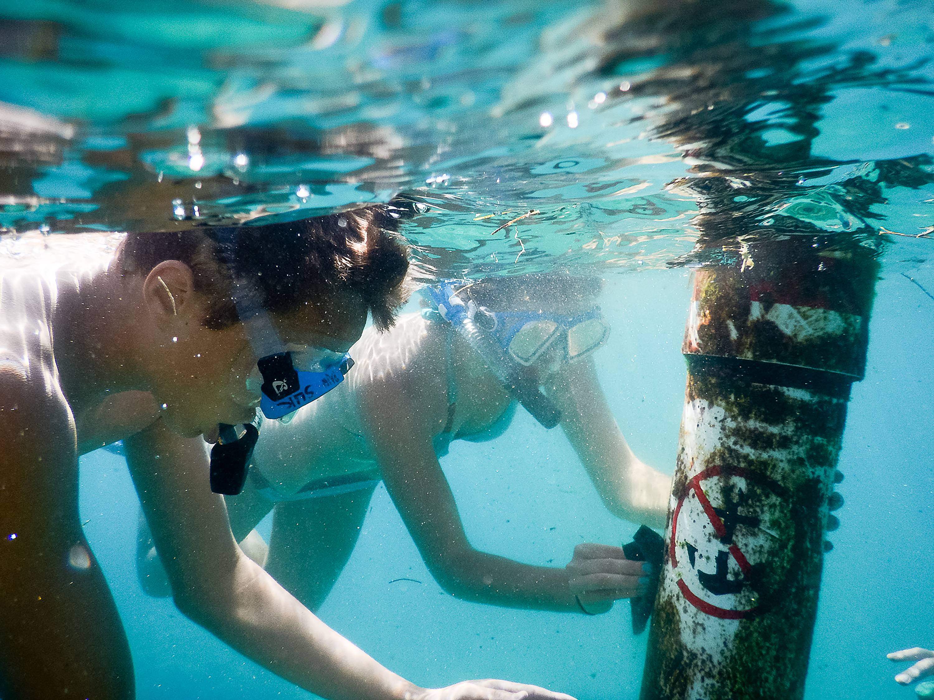 Two students snorkeling and cleaning buoys to encourage coral reef reproduction.
