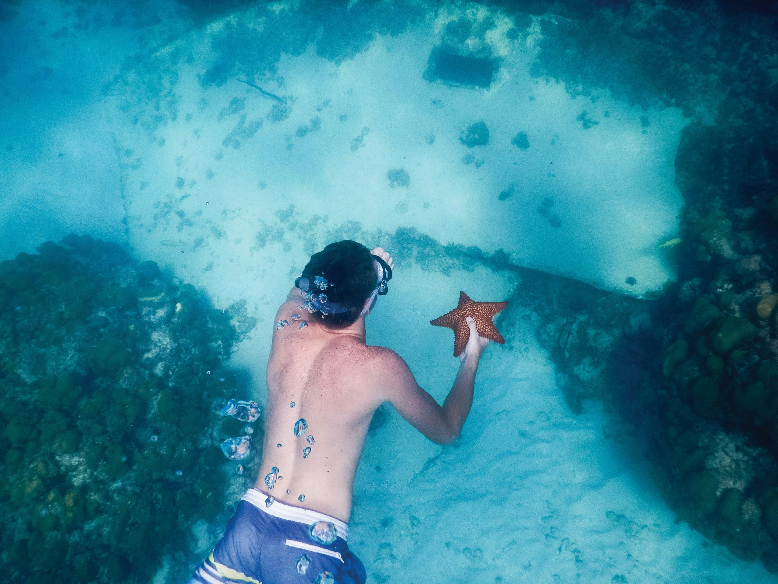 Marine Conservation Volunteering Abroad: Protect Oceans and Marine Life