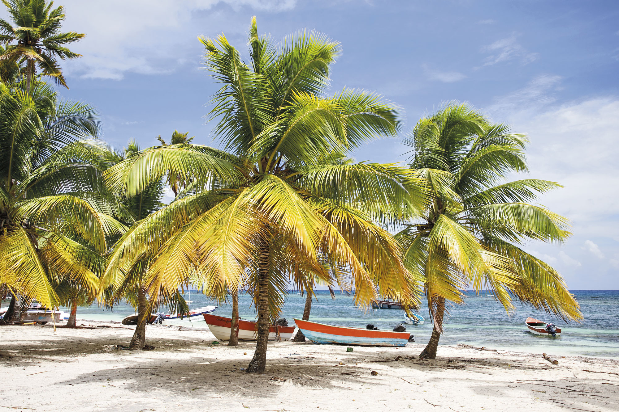 Dominican Republic: Beachside Service