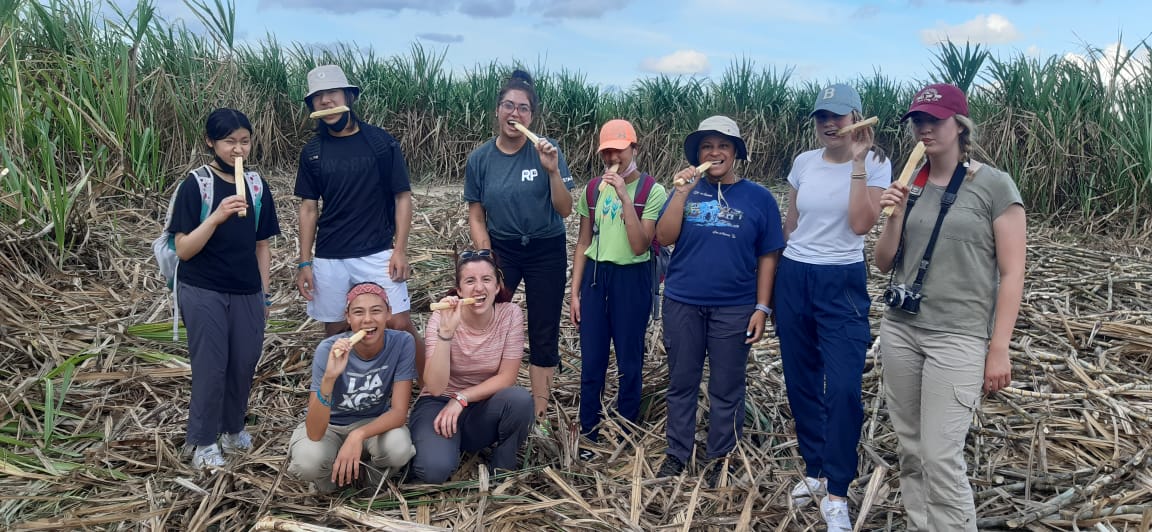 Students pose with sugar cane stalks in a field