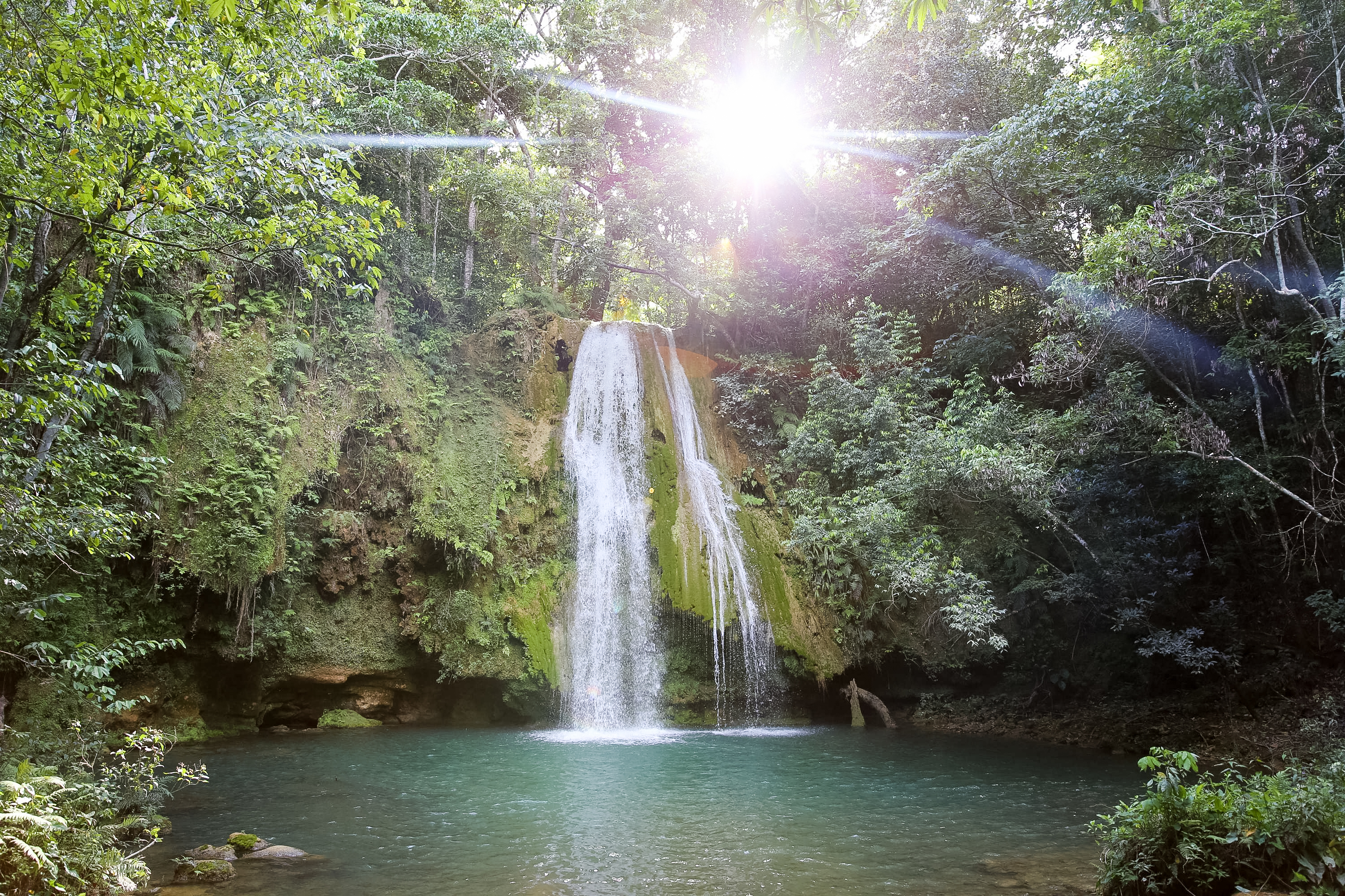 A waterfall in Dominican Republic cascades into a clear pool surrounded by dense forest