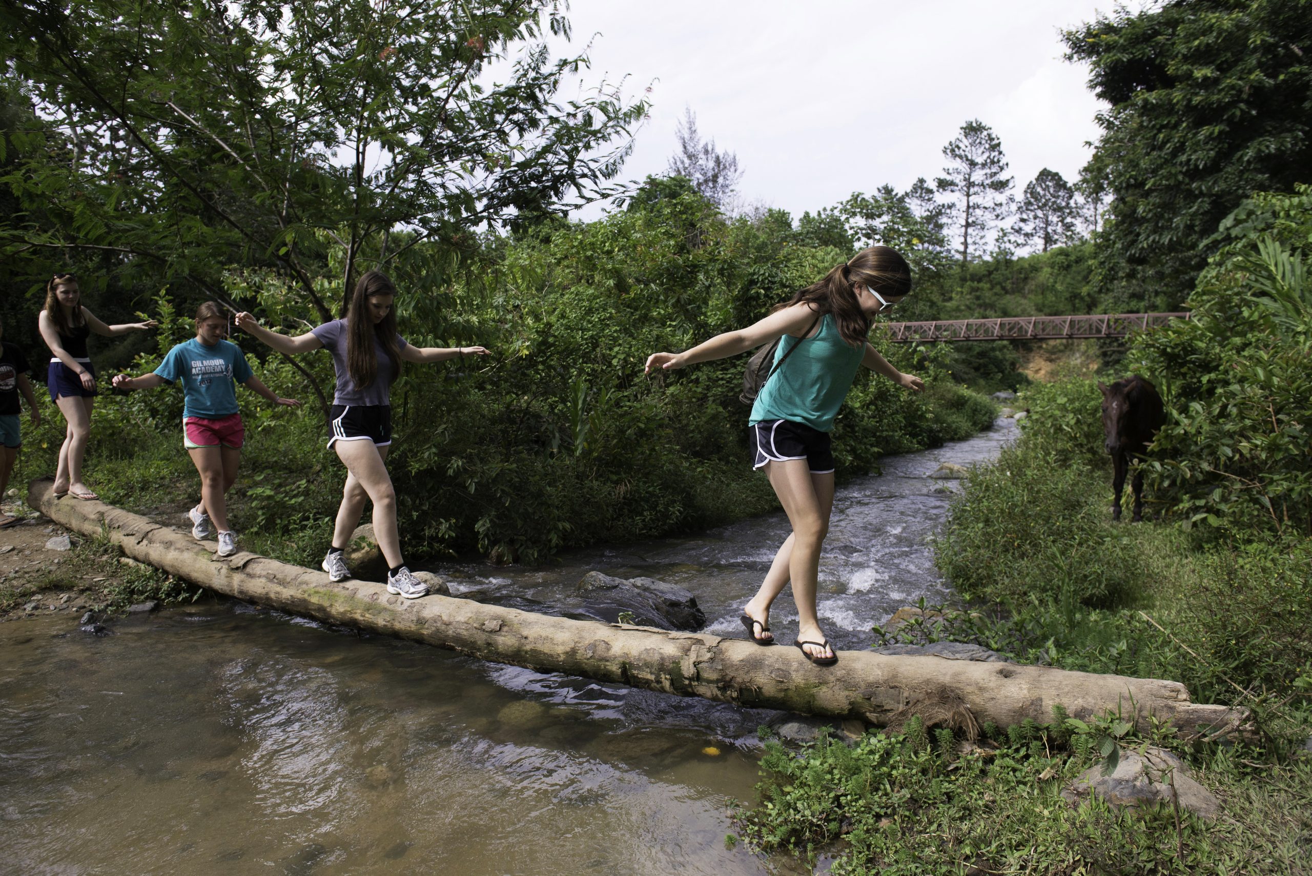 4 students walking and balancing over a fallen tree over the brown river water. From one side of the green woods to the other.