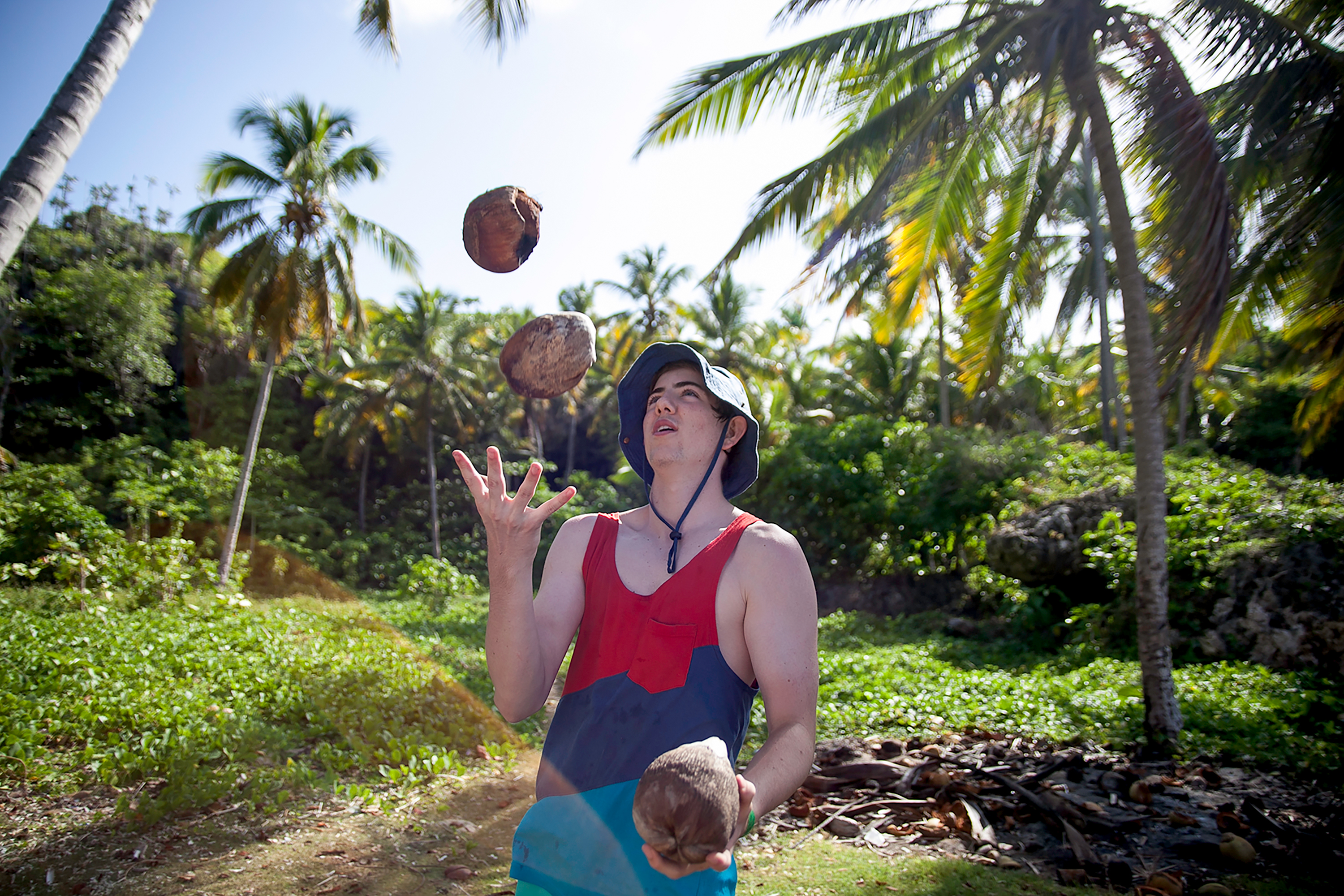A student tosses coconuts in the air among palm trees in Dominican Republic