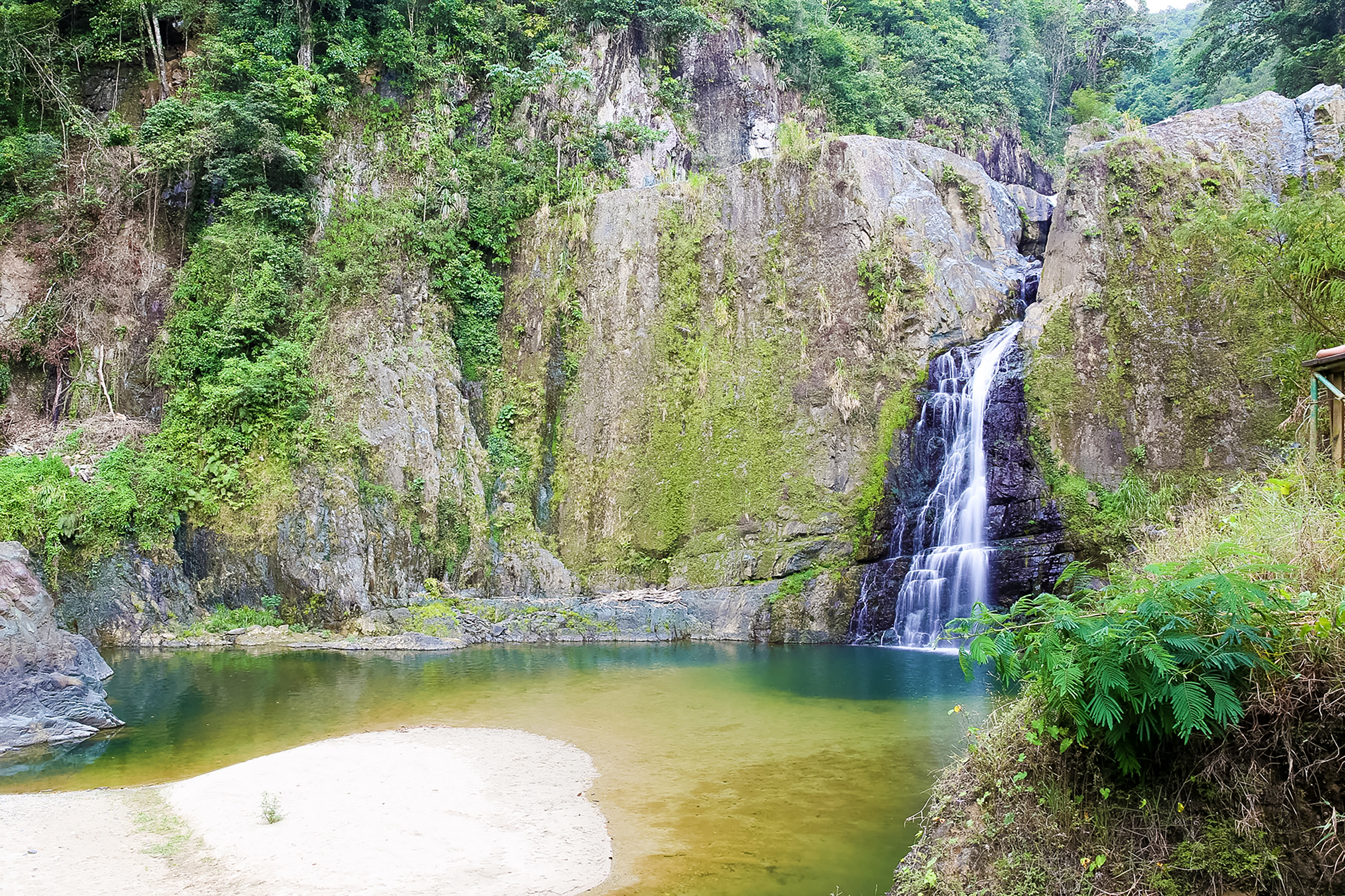 A waterfall cascades into a clear pool surrounded by moss-covered cliffs and jungle