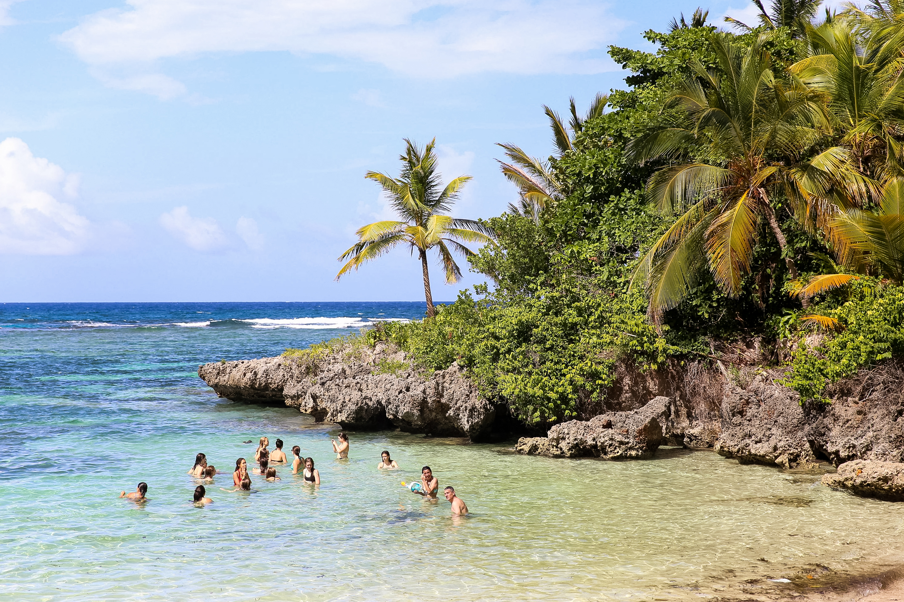 Students wade in a clear cove framed by palm trees and rocky outcrops